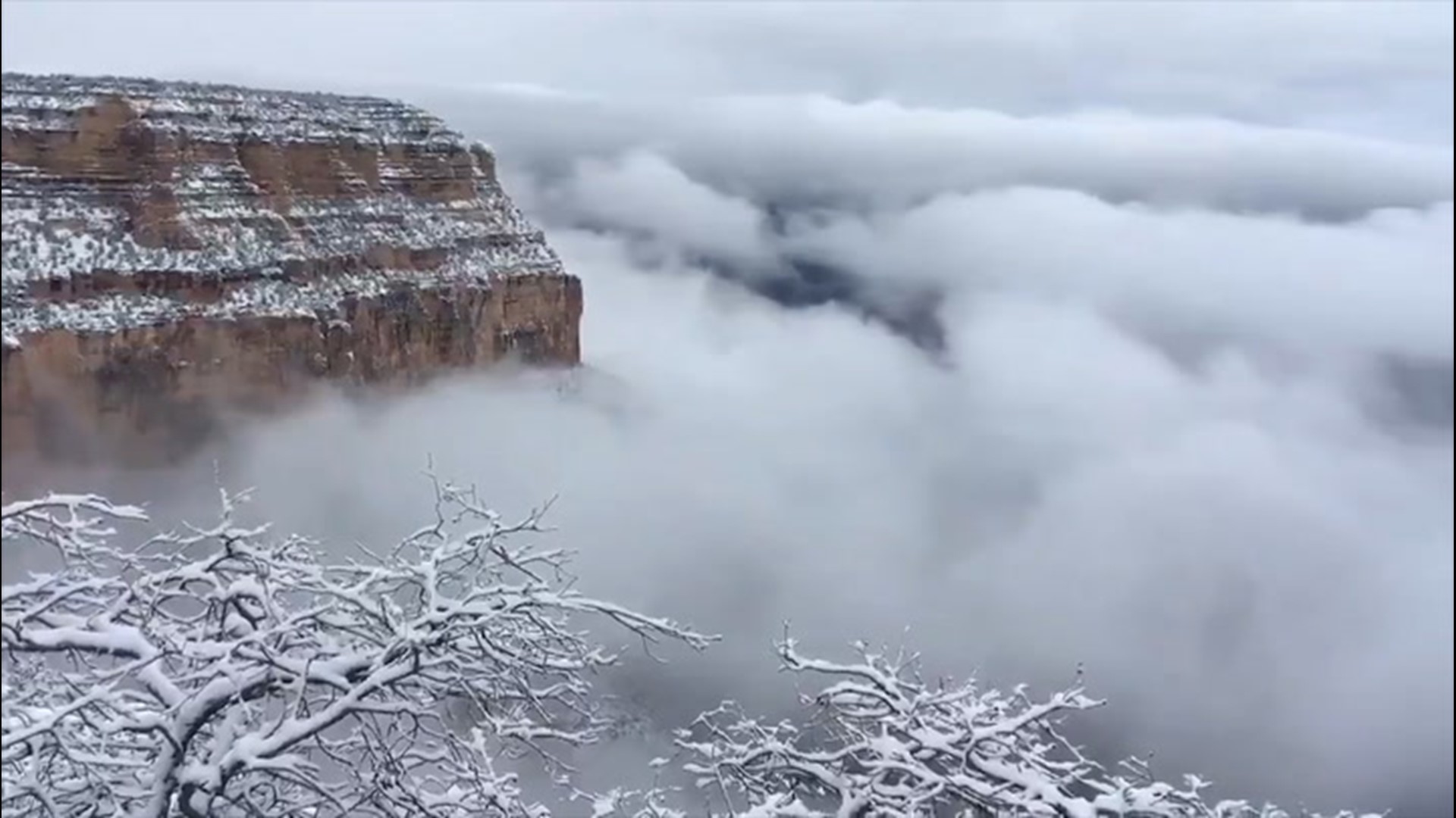 The Grand Canyon was filled with low clouds on Jan. 24 due to a partial cloud inversion, which is when warm air covers cold air, trapping clouds between the canyon walls.