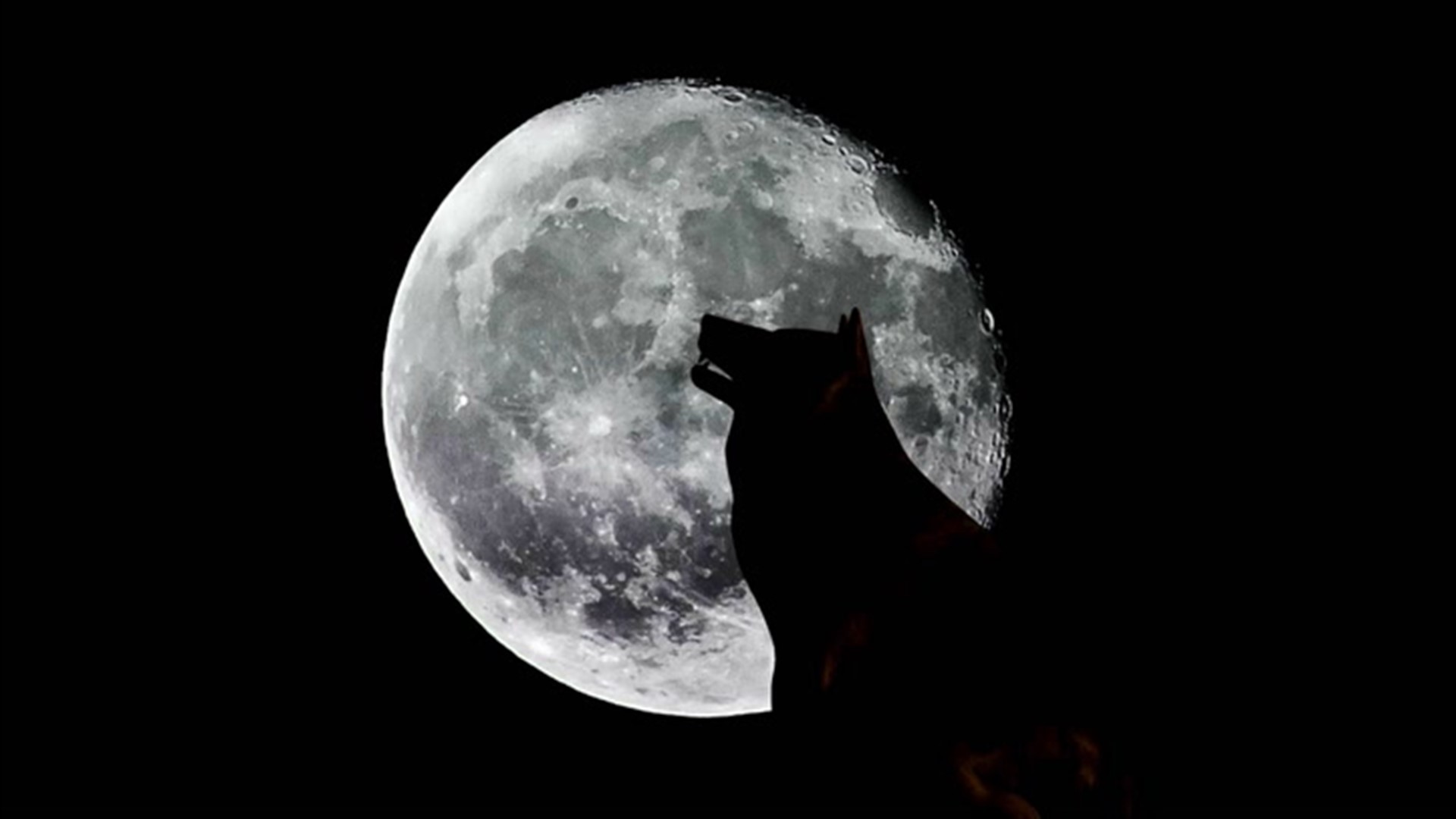 January Full Moon 2024, Full Moon Tonight, Full Wolf Moon Meaning