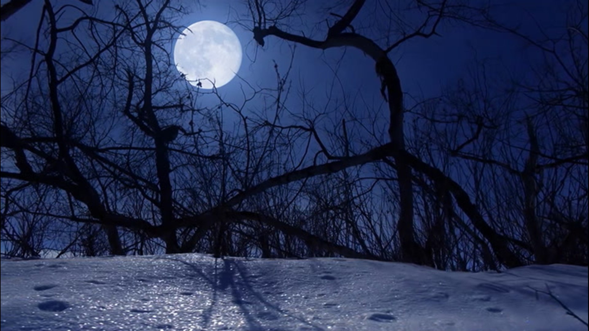The last full moon of 2020 and the last full moon of the decade, named the 'Cold Moon,' will rise on the night of Dec. 29-30