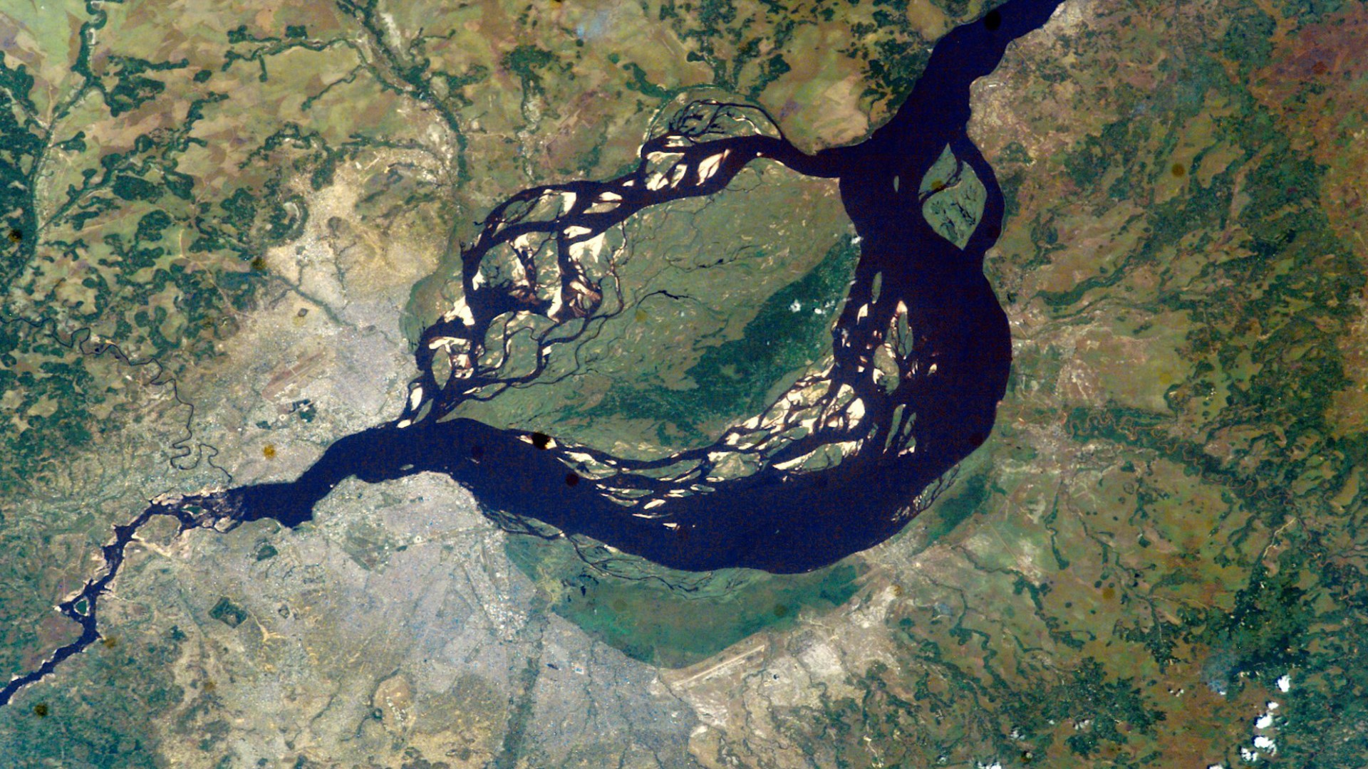 How Dead Fish Revealed Congo As The Deepest River On Earth Wusa9 Com