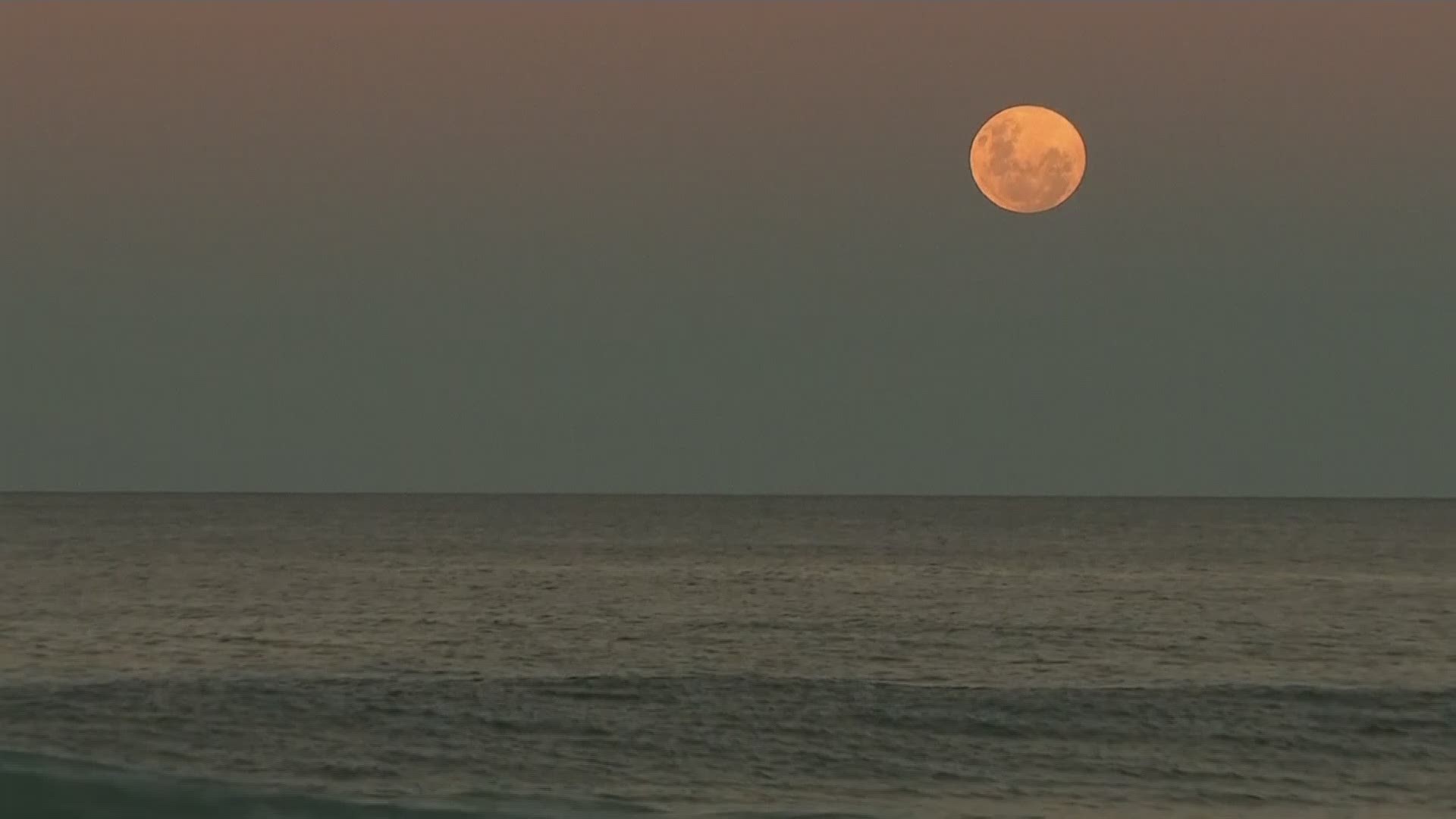 Video From the Total Lunar Eclipse on Early Tuesday - The New York
