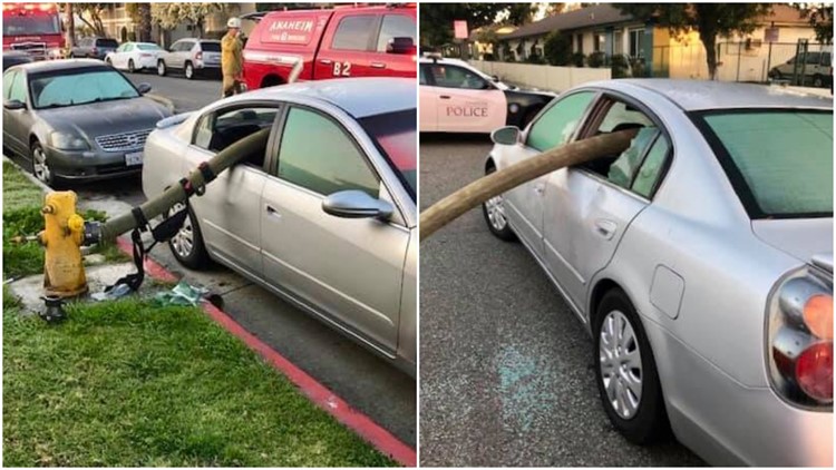 California resident learns the hard way why you shouldn&rsquo;t park in 