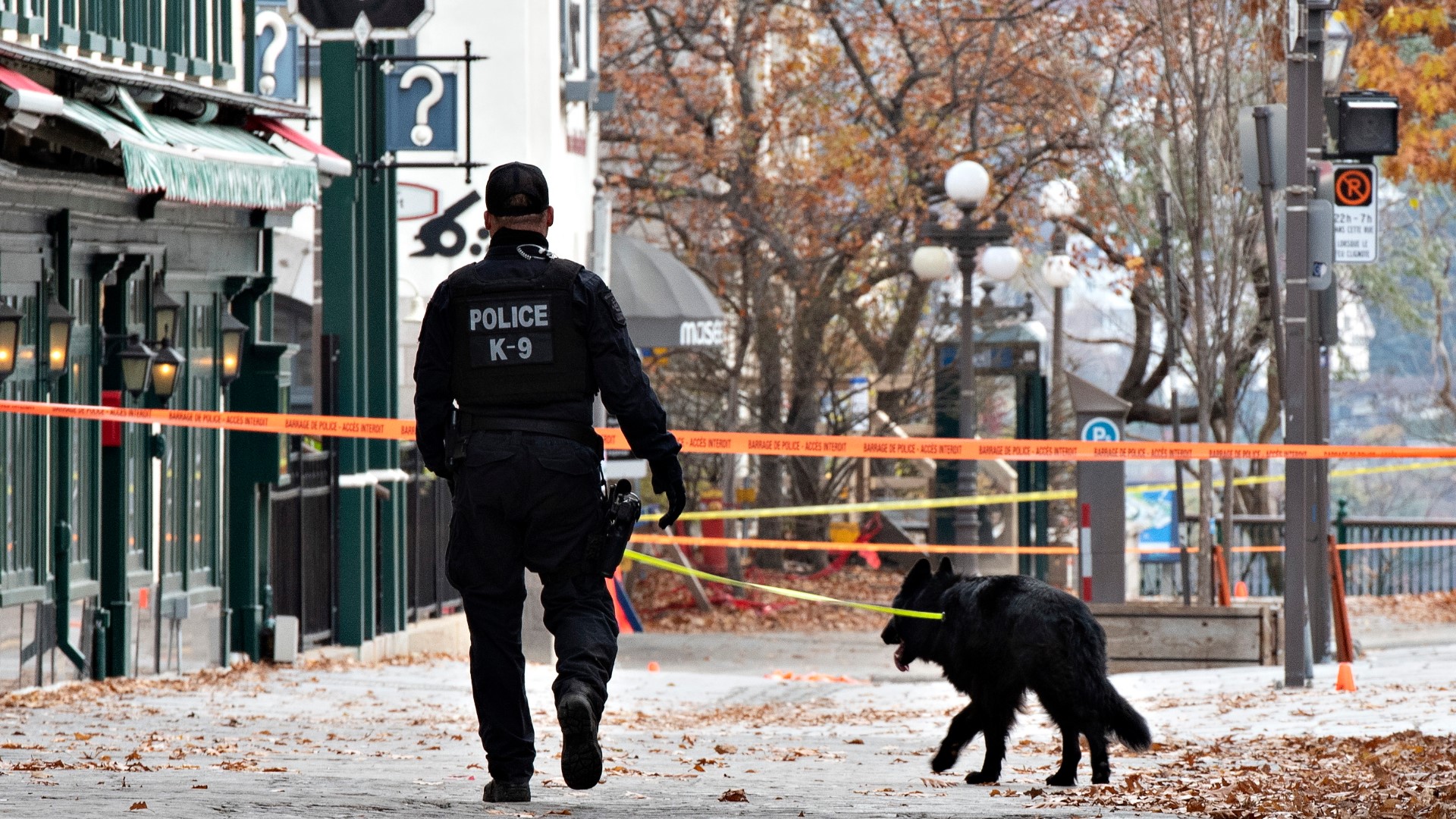 A man in medieval clothing and armed with a Japanese sword was arrested Sunday on suspicion of killing two people and injuring five others Halloween in Canada.