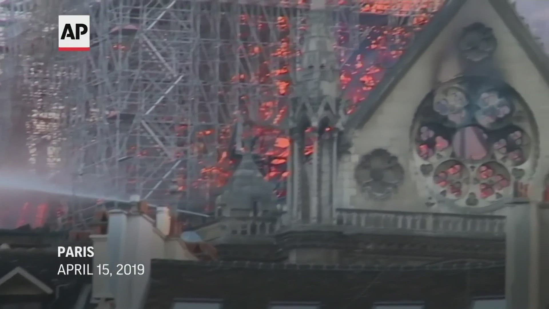 Approximately 1,000 oak trees have been chosen from 200 French forests to rebuild the famed Notre Dame cathedral.