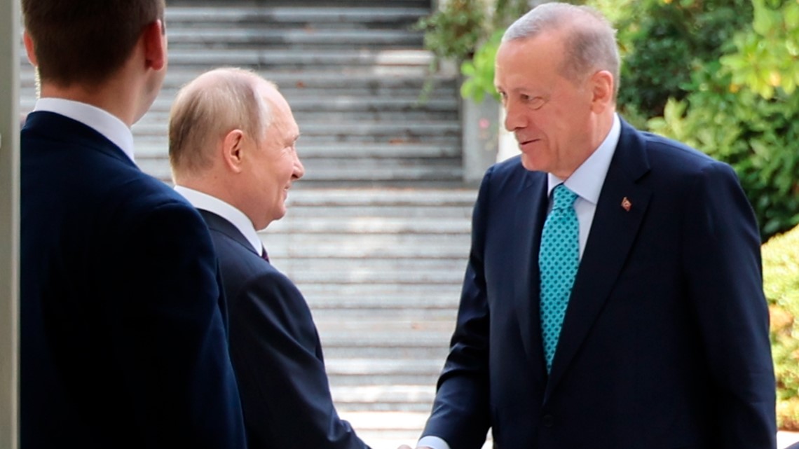 Putin, Erdogan meet in bid to restart Ukraine grain deal - Vimarsana News