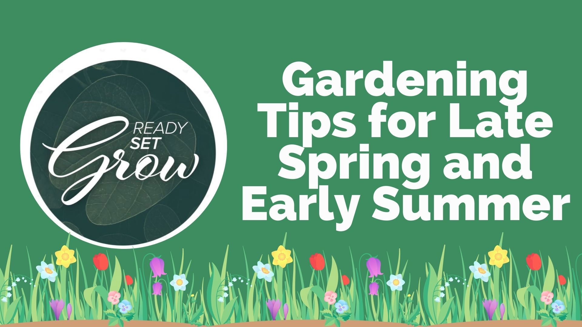 It is prime time for gardeners! The tips on what to plant right now in early spring/late summer and how you can keep wildlife out of your garden.