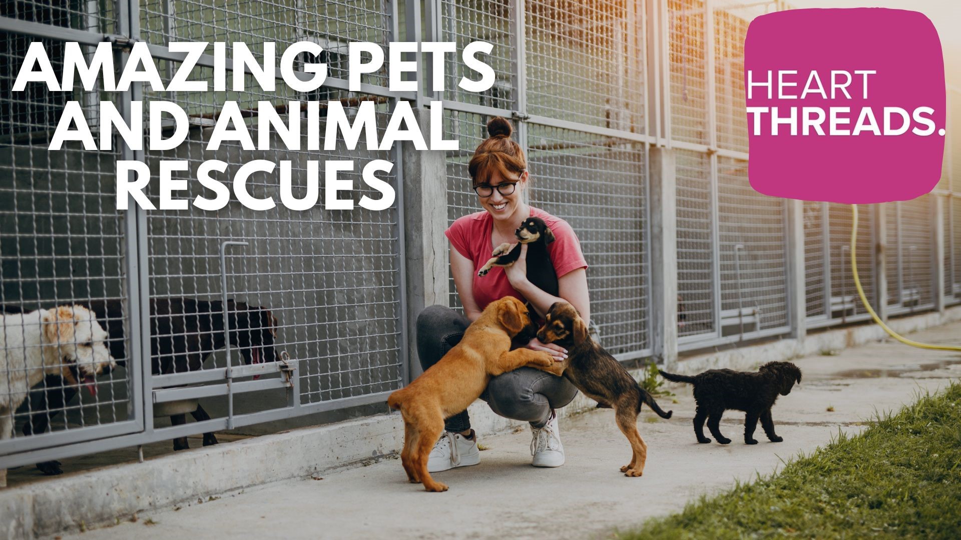 Heartwarming stories of amazing pets and animal rescues.
