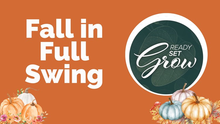 Ready, Set, Grow | Fall in full swing
