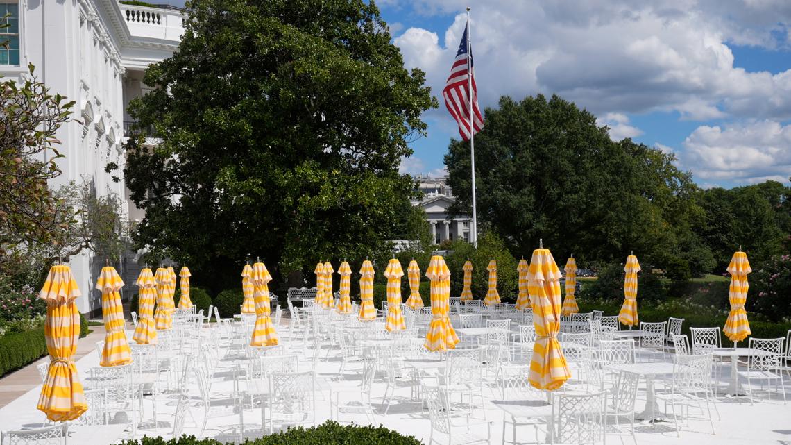 Elon Musk absent from Trump's White House dinner for top tech CEOs ...