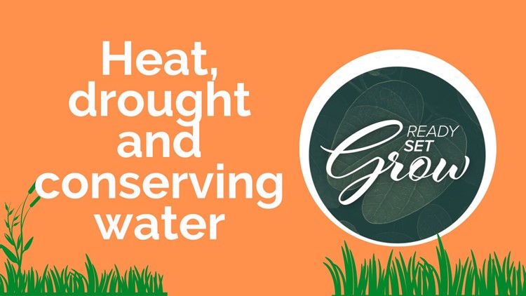 Ready, Set, Grow | Heat, drought and conserving water