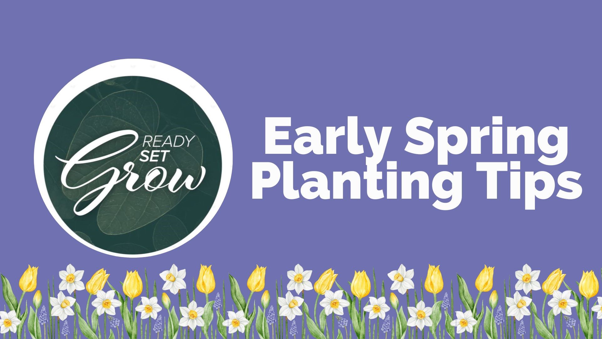 It is time to start thinking about your gardens and spring planting. How to get organized, plan for seed starting and even make your own planters.