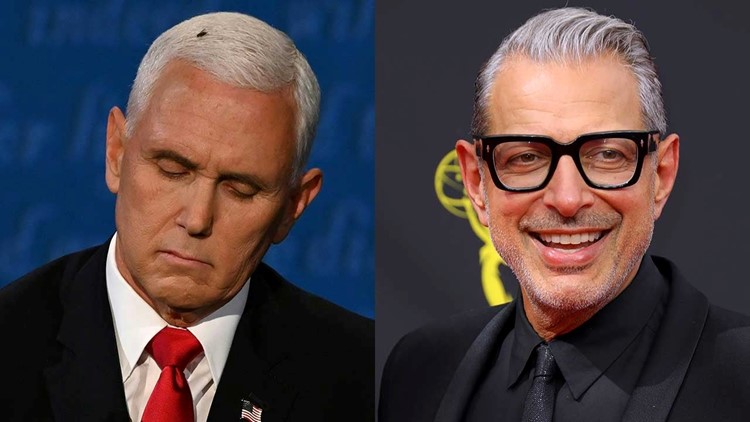 Jeff Goldblum Fans Want Him To Play Mike Pence S Fly On Saturday Night Live Wusa9 Com