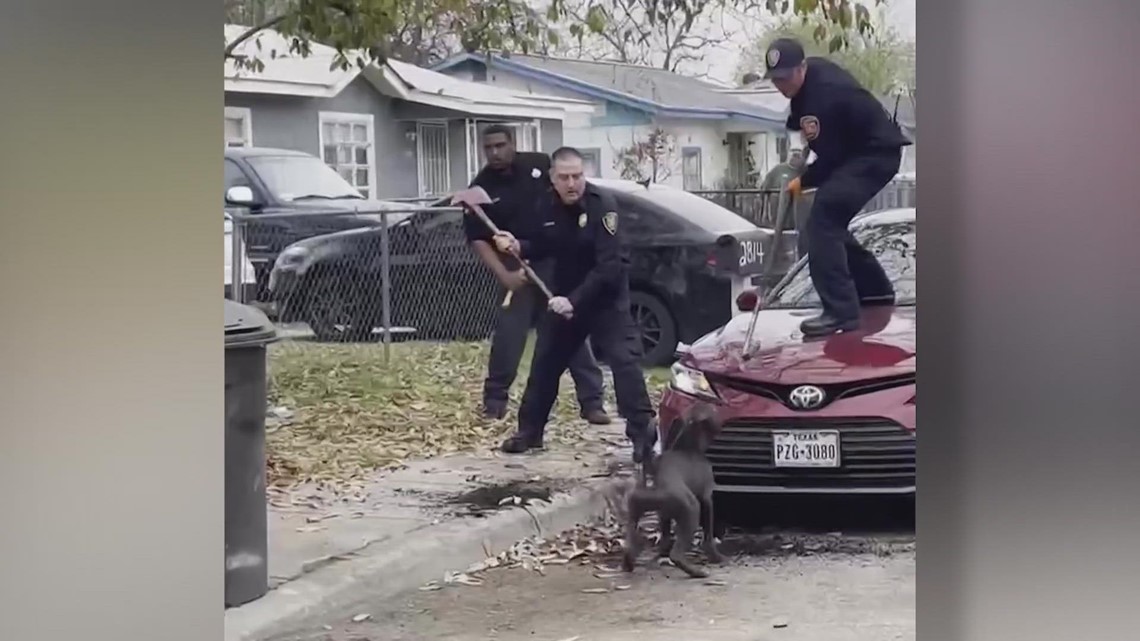 Lawsuit filed in deadly dog attack on San Antonio's west side | wusa9.com