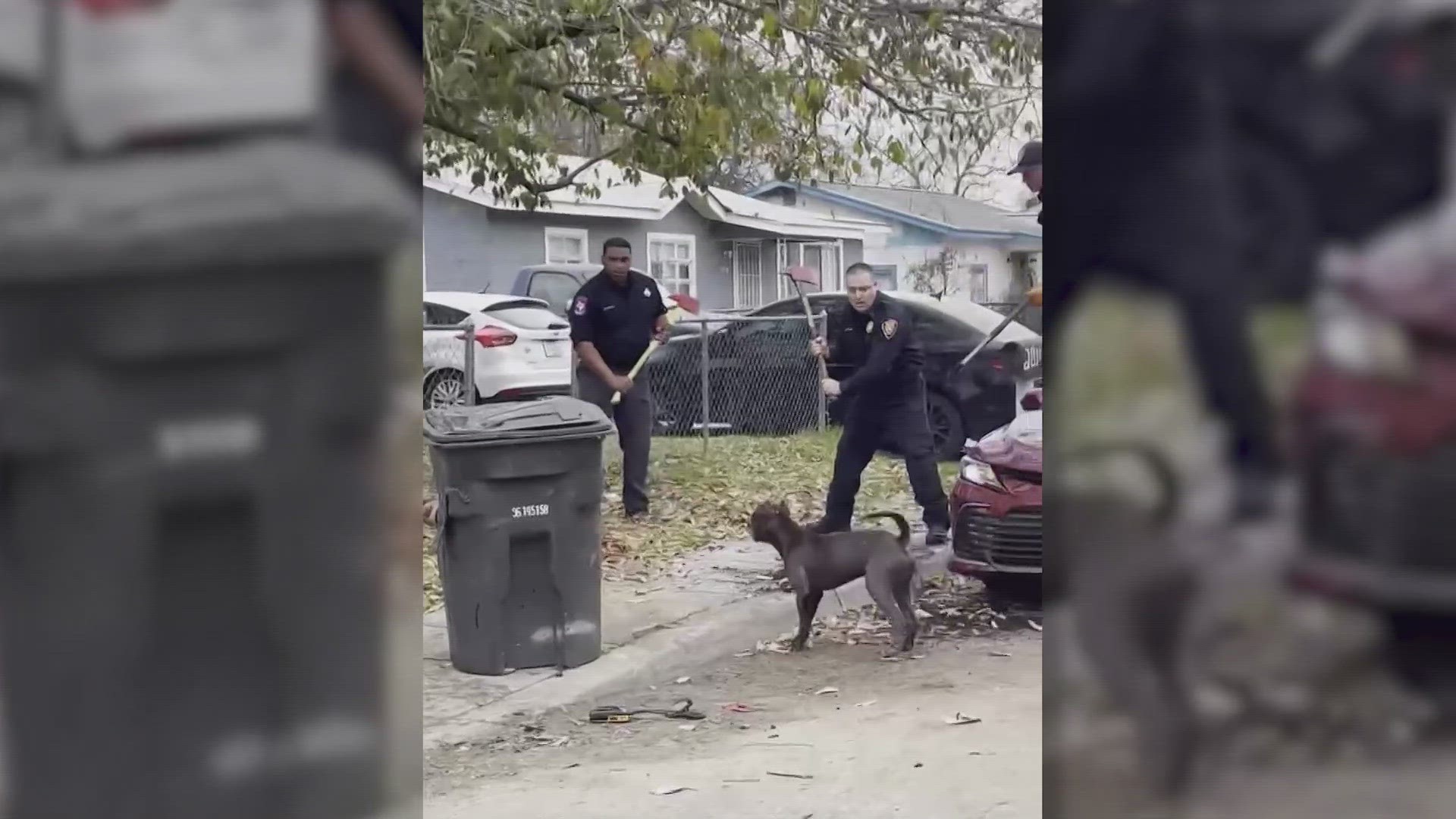 Lawsuit filed in deadly dog attack on San Antonio's west side | wusa9.com
