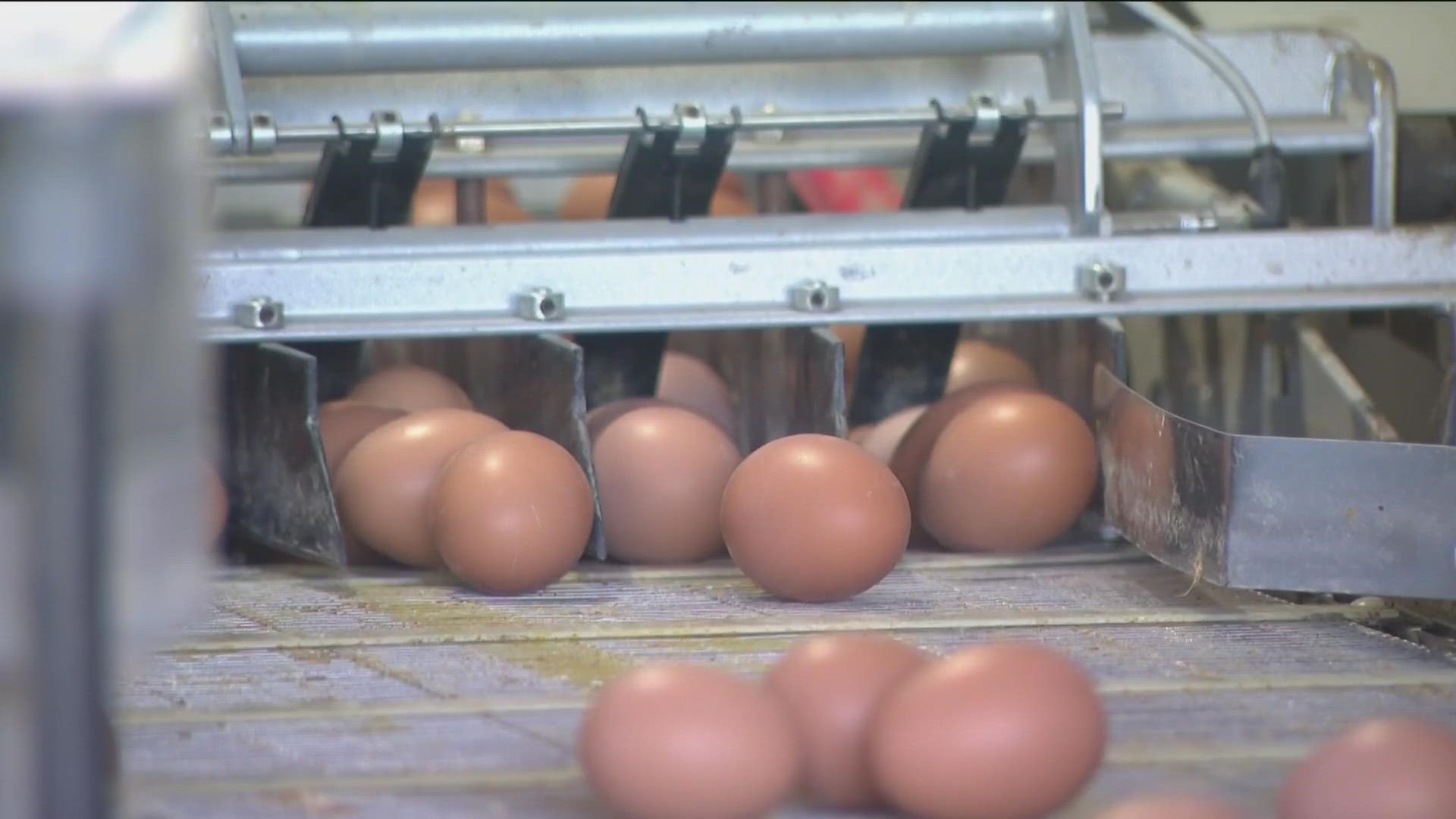 People are taking advantage of egg prices in Tijuana, but the director of field operations for CBP has alerted the public about the possible of fines.