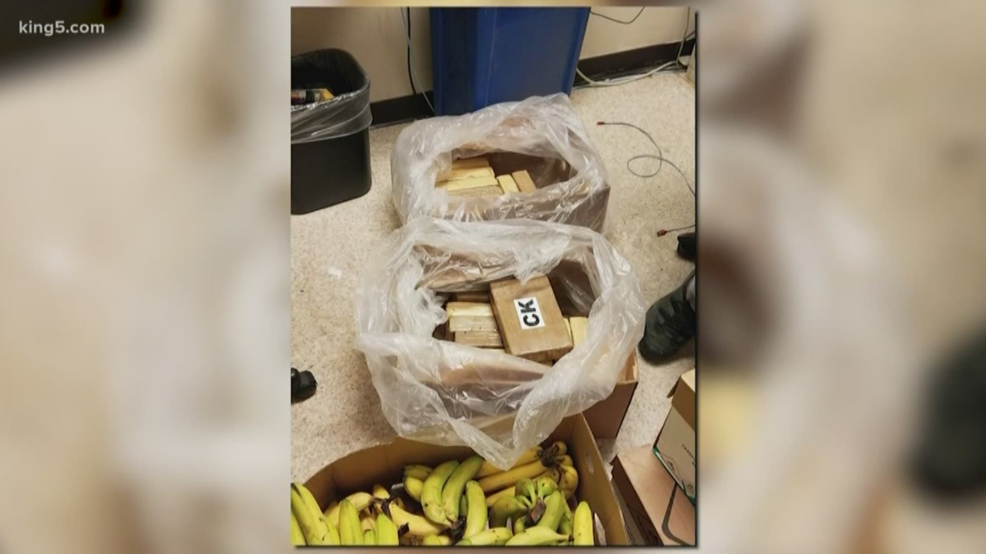 Cocaine valued at more than $1 million was found inside shipments of bananas at three Safeway stores in Western Washington.