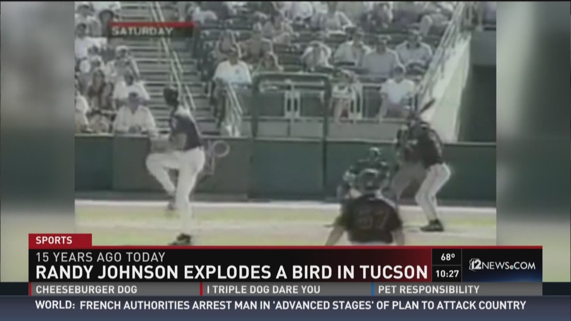 Happy 15th anniversary of Randy Johnson's bird explosion