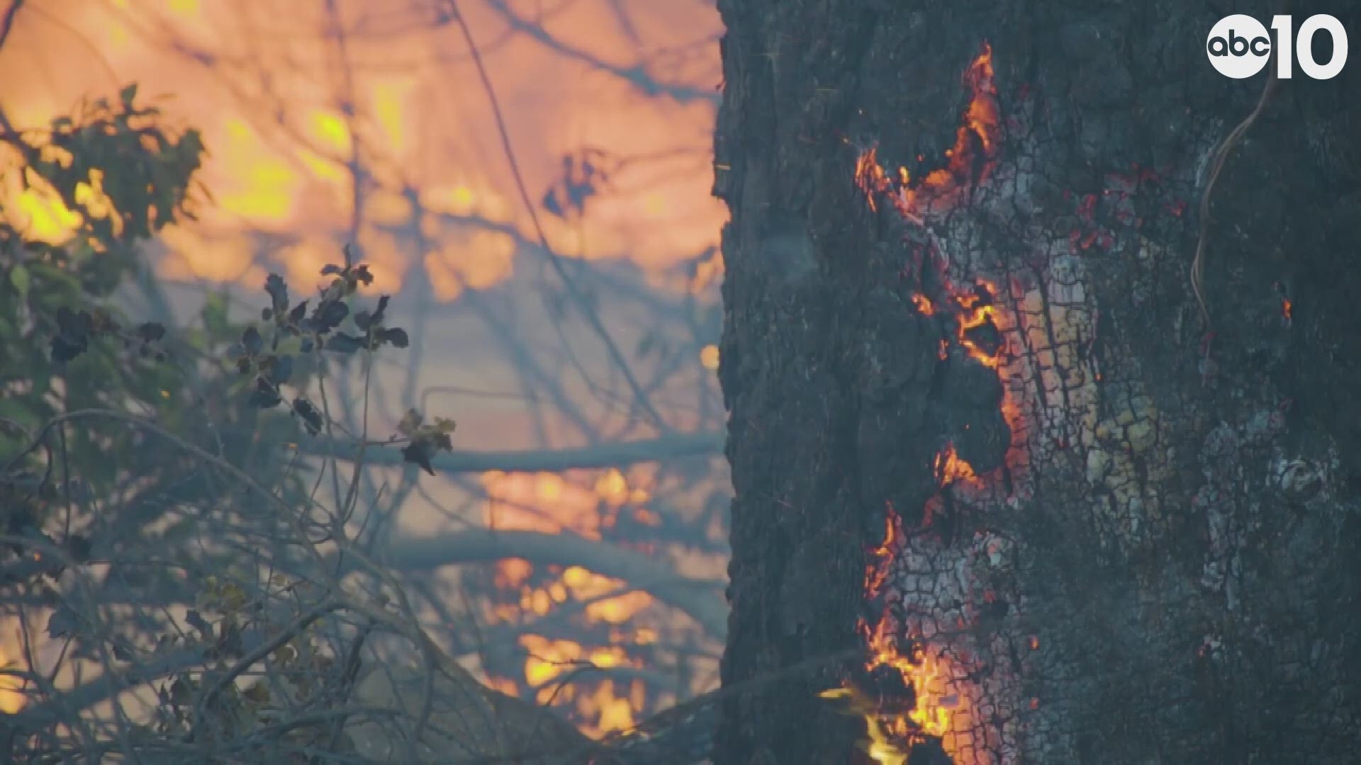 House after house. The wildfire in Paradise and surrounding areas is relentless. Photo Journalist Jason Beal went above and beyond to get these images.