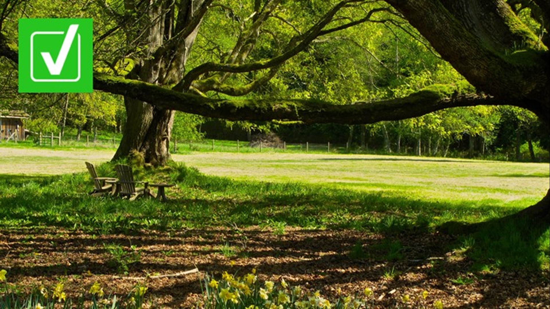 “Botanical sexism” refers to cities’ preferences for male trees over female trees because the males produce pollen instead of “tree litter” like fruits or seeds.