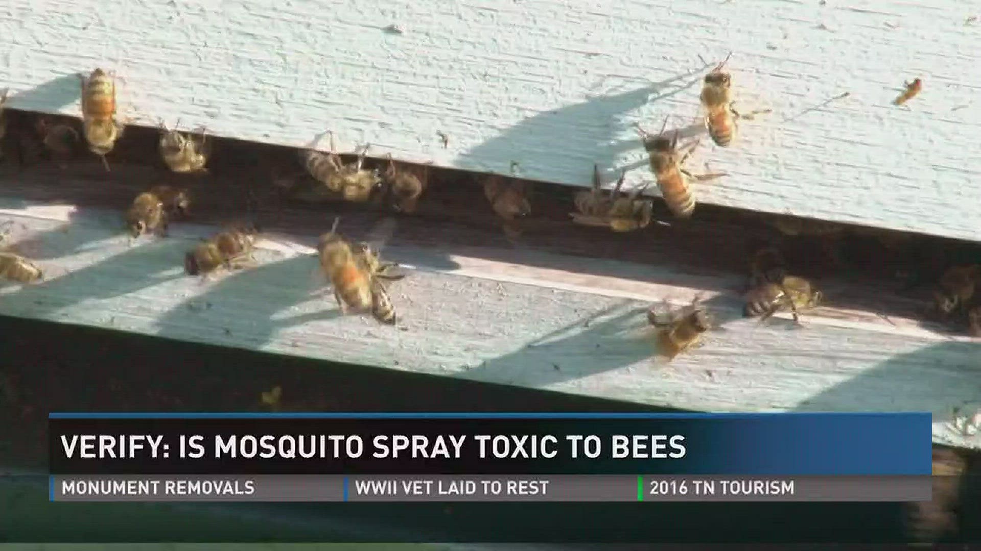 Aug. 22, 2017: While the Knox County Health Department sprays for mosquitoes, neighbors worry the spray will harm the bee population.