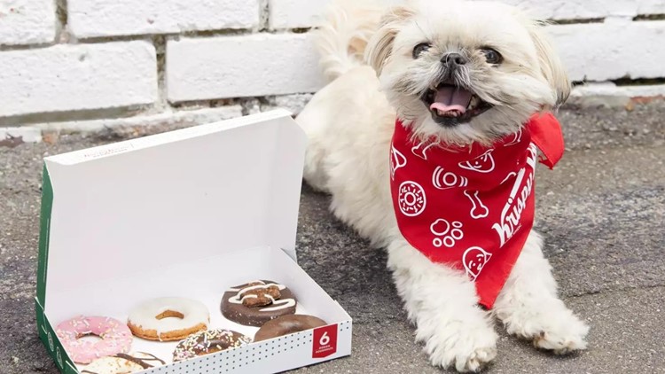 Krispy Kreme to sell doughnuts for dogs