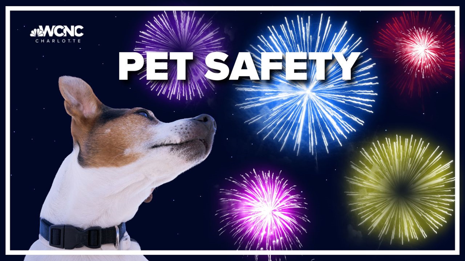 Charlotte-Mecklenburg Animal Care and Control hosting a "Prep your Pet" event on Saturday that offers free services to pet owners and other resources.