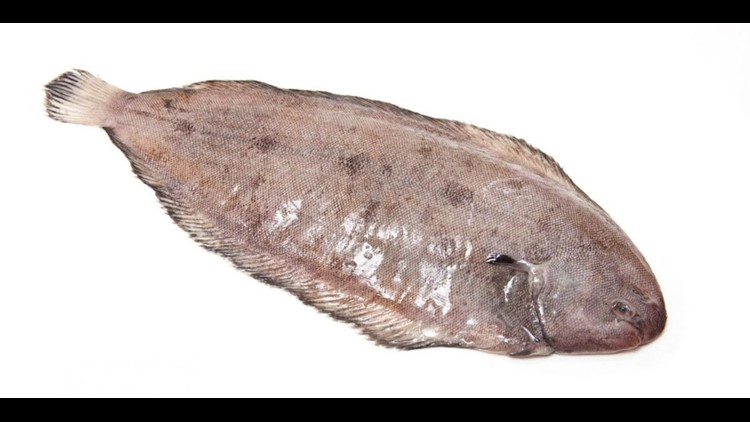 box fish cardiac arrest 6-inch Dover sole fish leaps into British man's mouth; man goes into cardiac  arrest