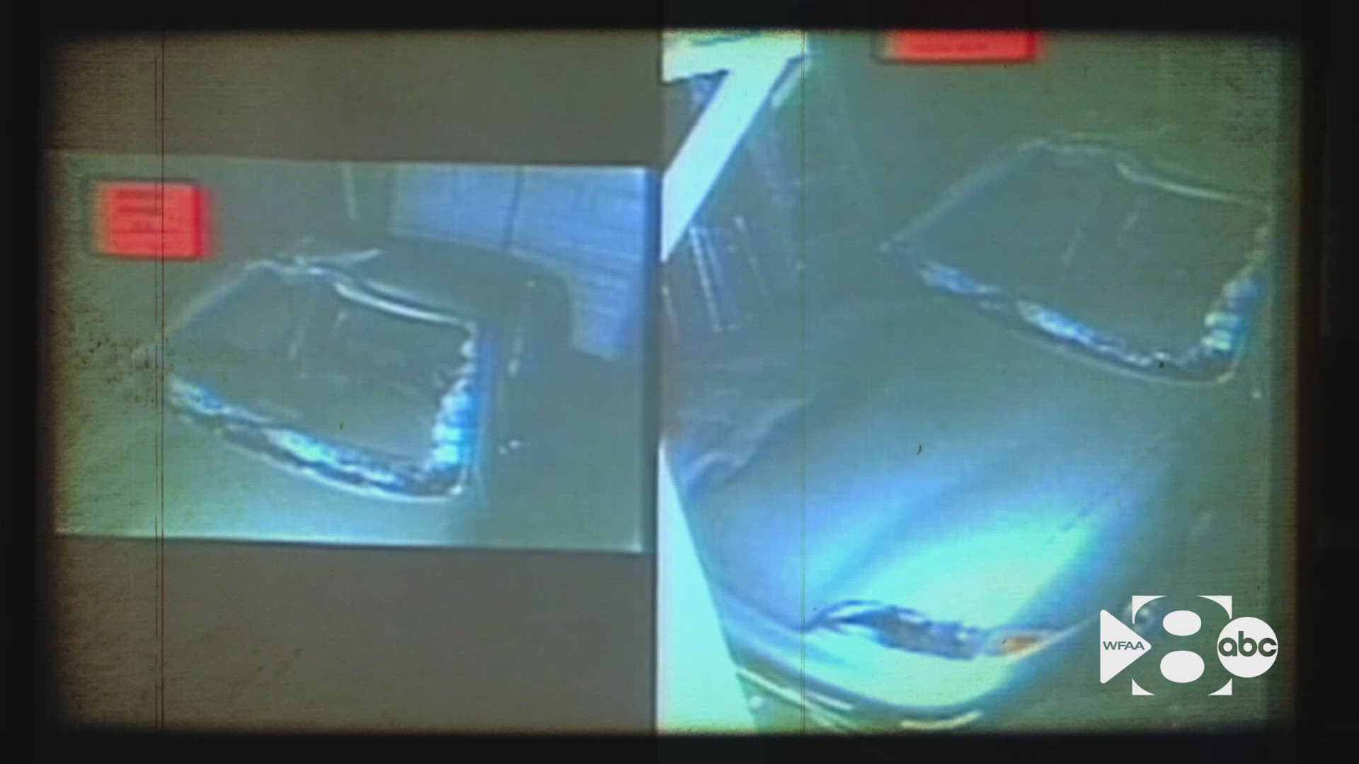Windshield murder' of Gregory Biggs: The hit-and-run case that
