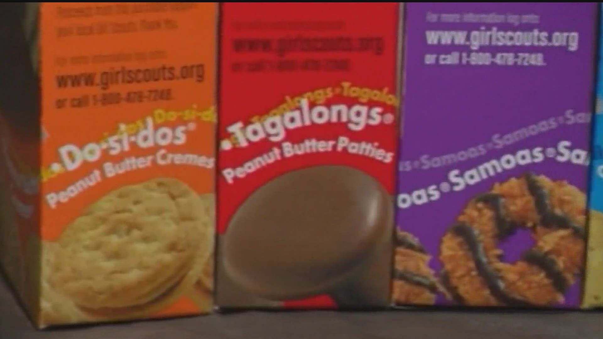 Girl Scouts relying on online sales during COVID-19 pandemic
