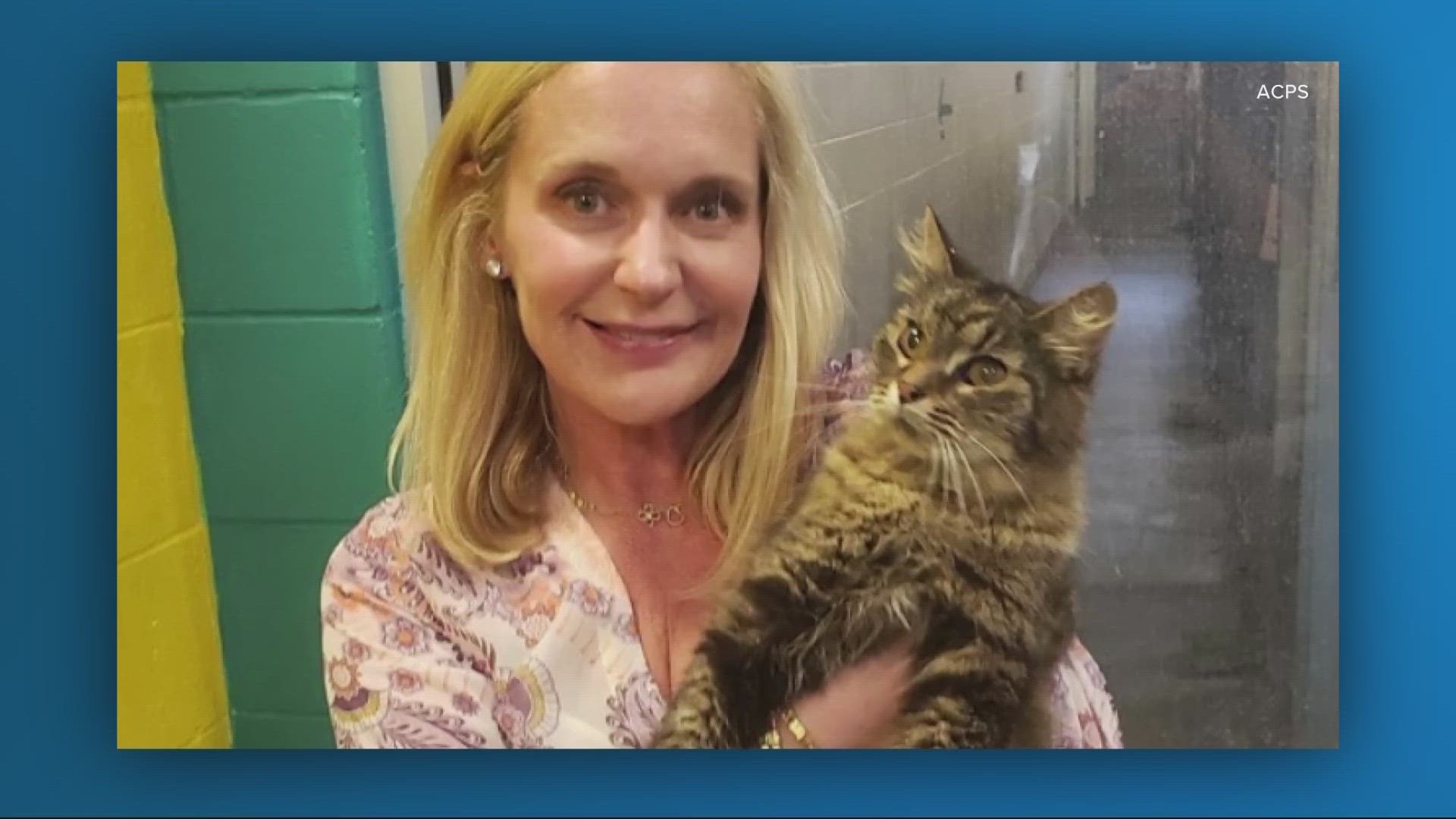A lost cat is finally back with its owners in Jacksonville after 11 years thanks to some investigative techniques and some luck.