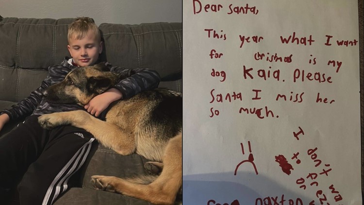 Dog returns home after being gone for 77 days