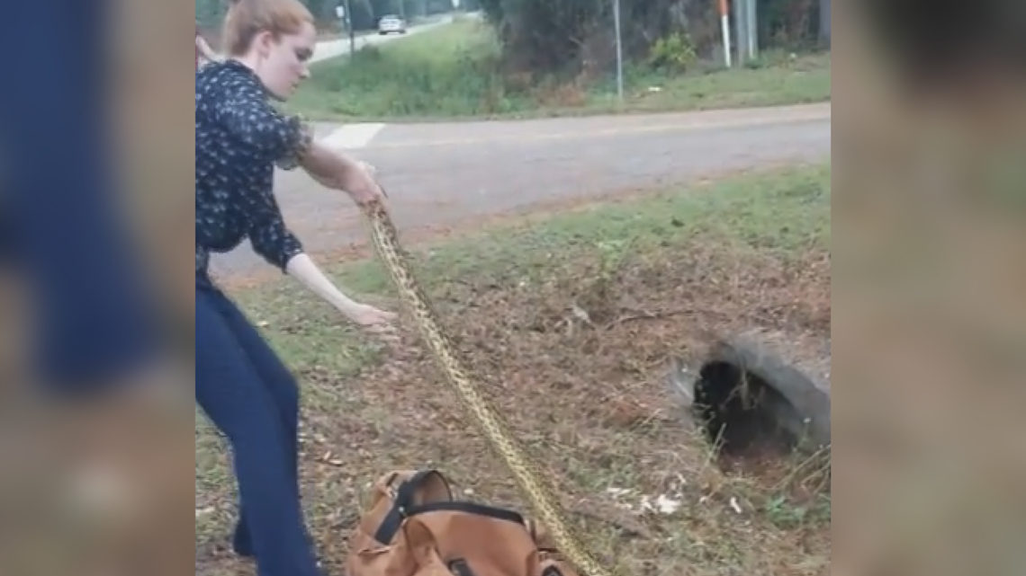 Florida Detective Captures 9-foot-long Anaconda | Wusa9.com