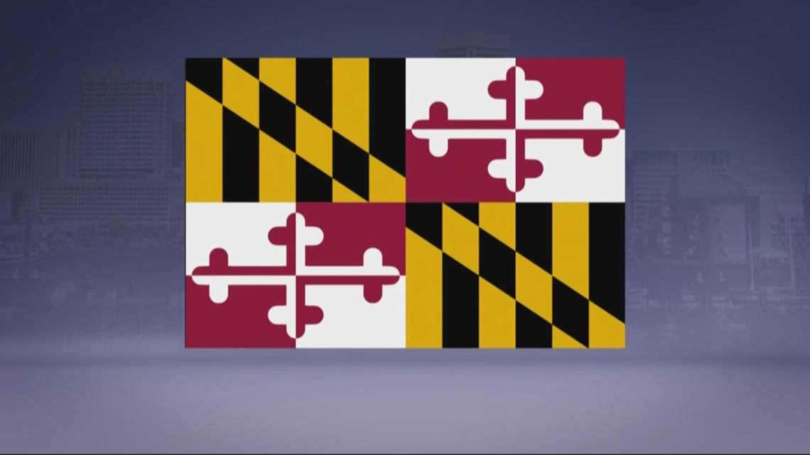 How to vote for Maryland's elections
