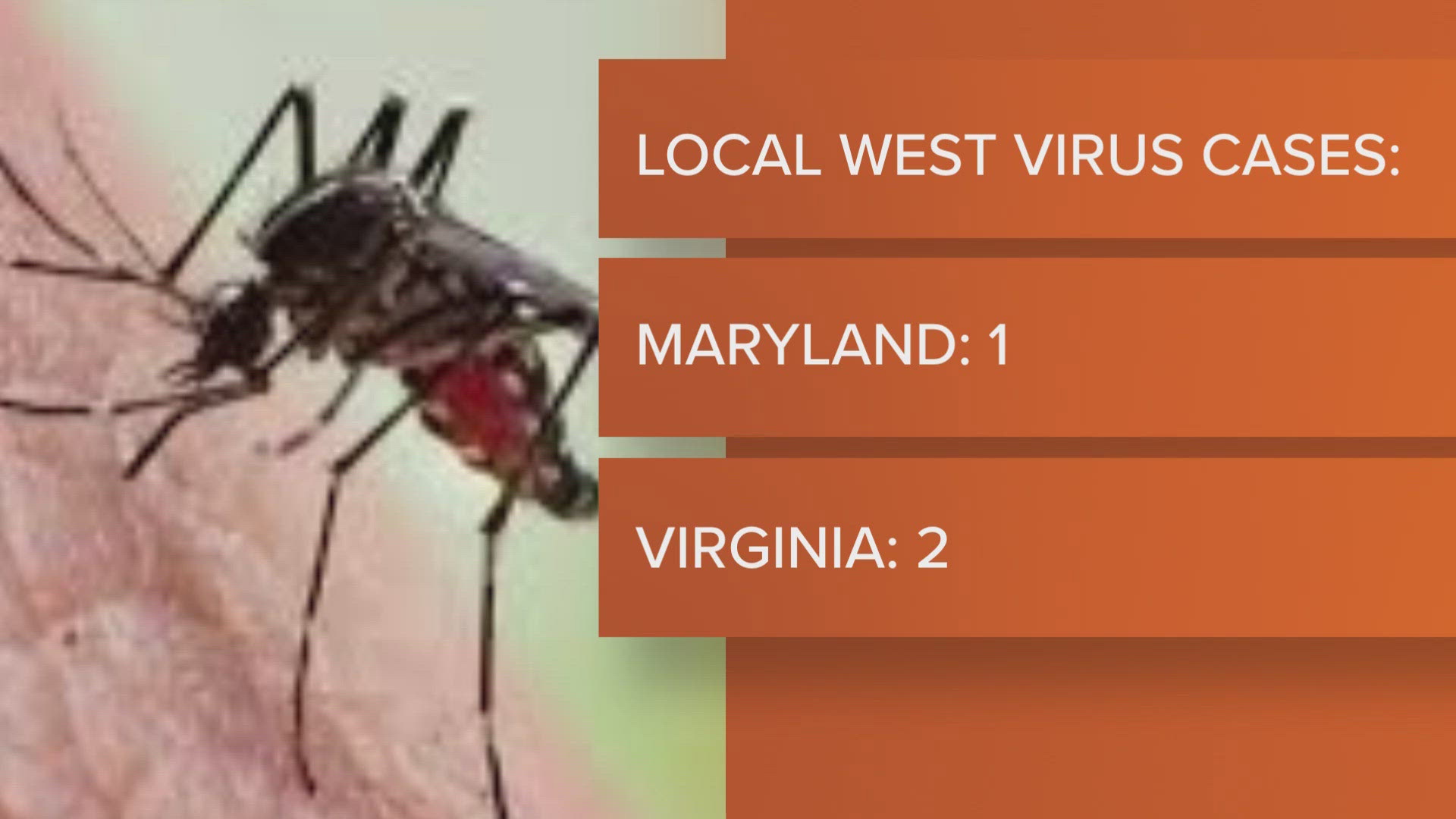 An adult living in Baltimore has tested positive for West Nile virus, this is the first confirmed human case in Maryland this year.