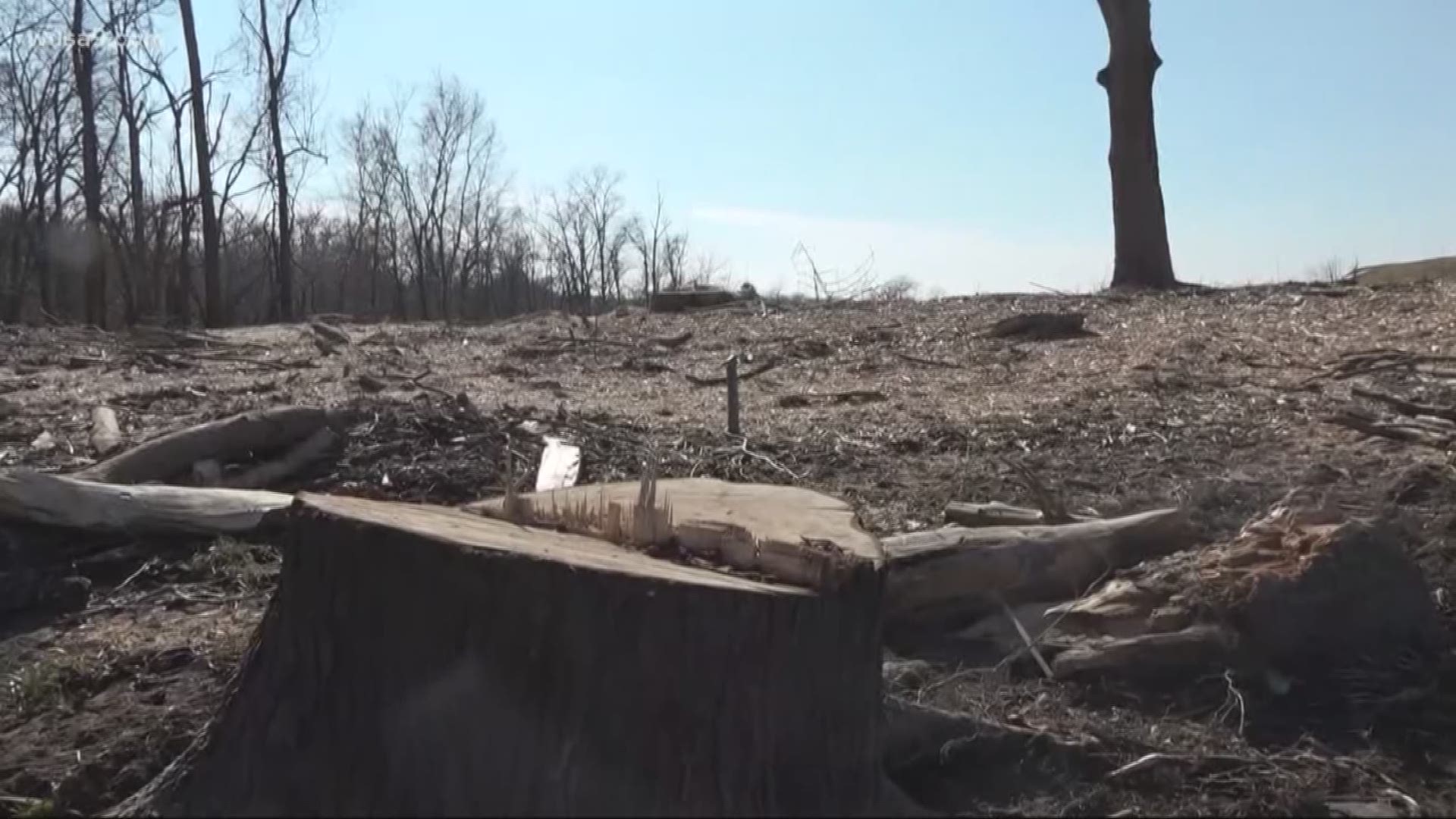 Loudoun County authorities say they are investigating the possibility that the controversial clear-cutting of mature Potomac riverbank trees at the Trump National Golf Club has violated a local zoning ordinance to protect sensitive flood plain areas.
