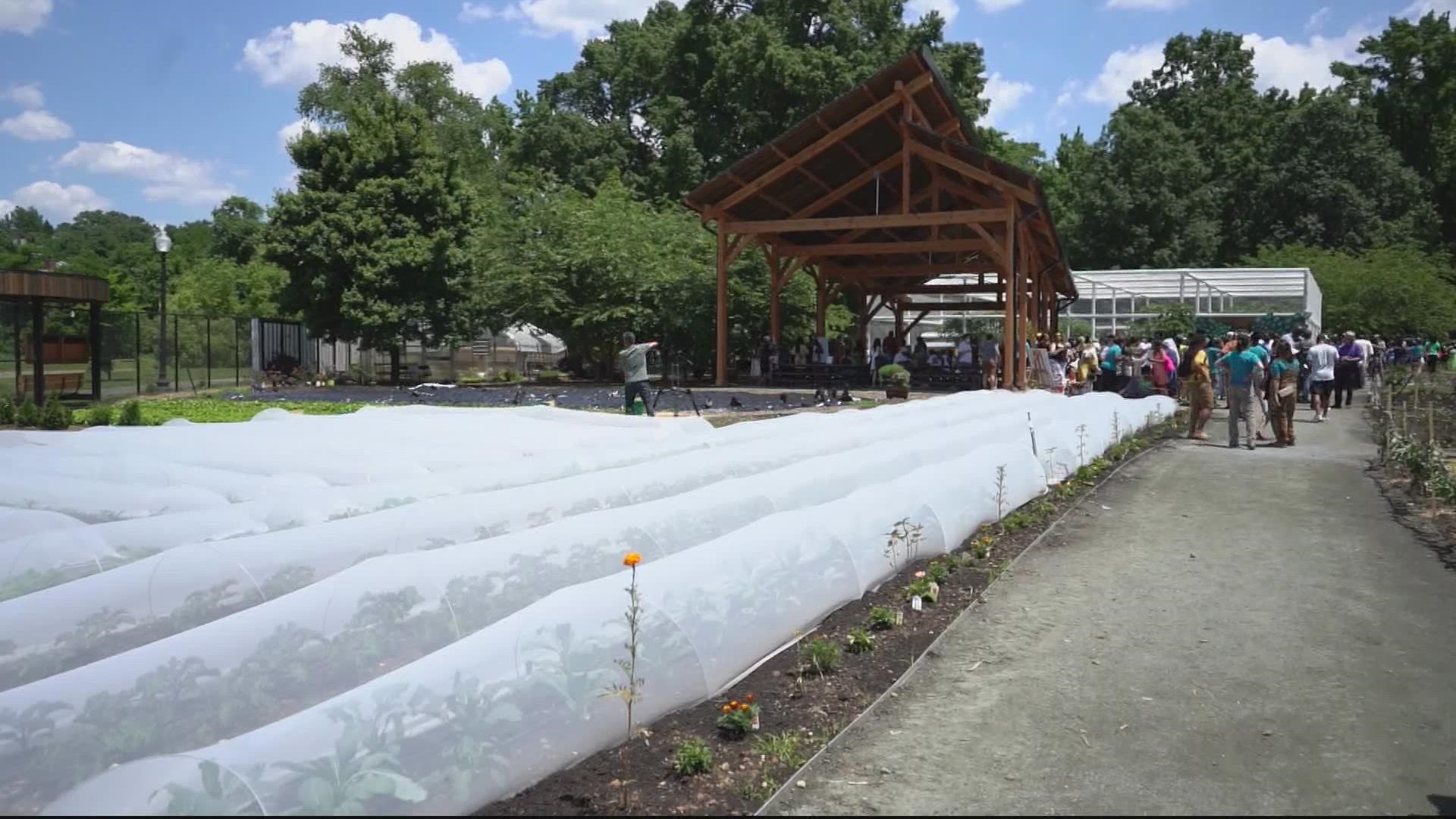 A new community farm and wellness space is now open in the Congress Heights neighborhood of Ward 8 in the District.