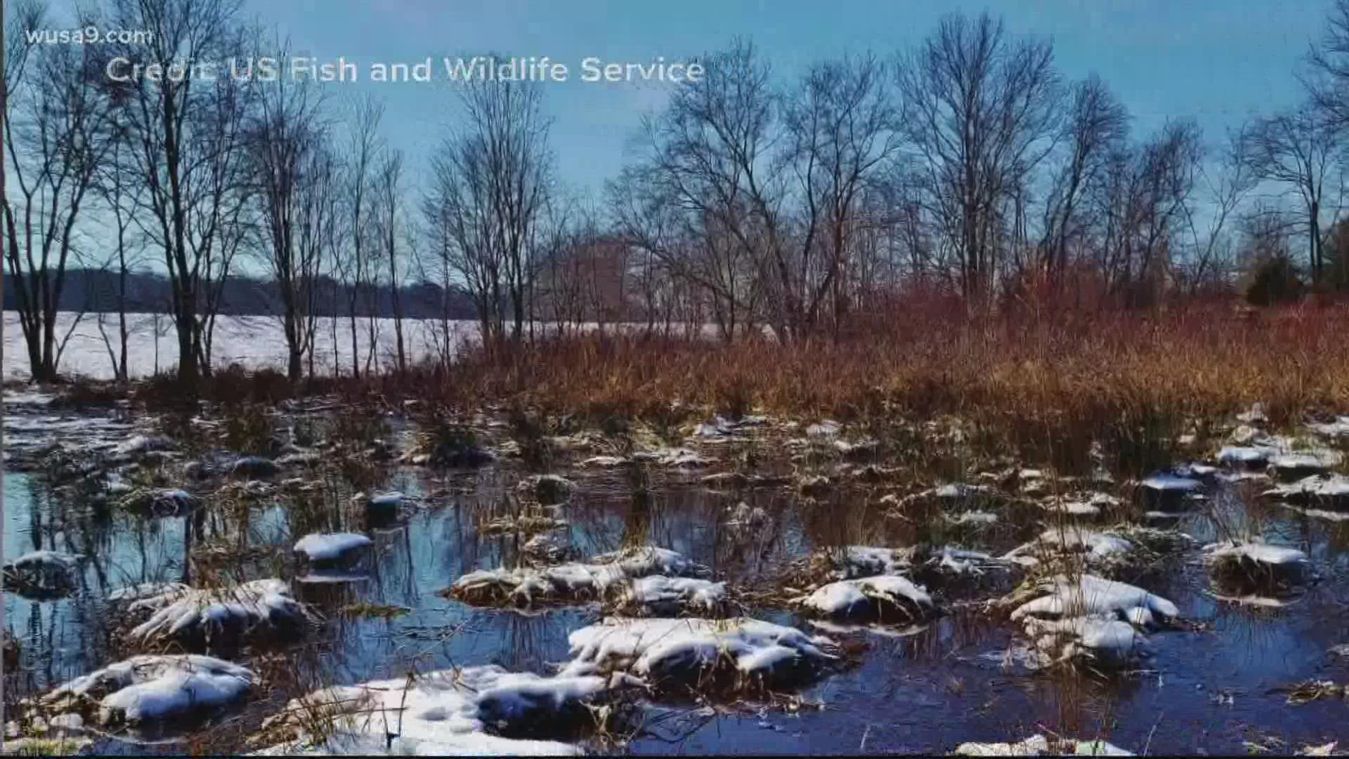 Developers want their hands on NASA's Area 400 but Patuxent refuge advocates believe it will impact the environment and ecosystem.