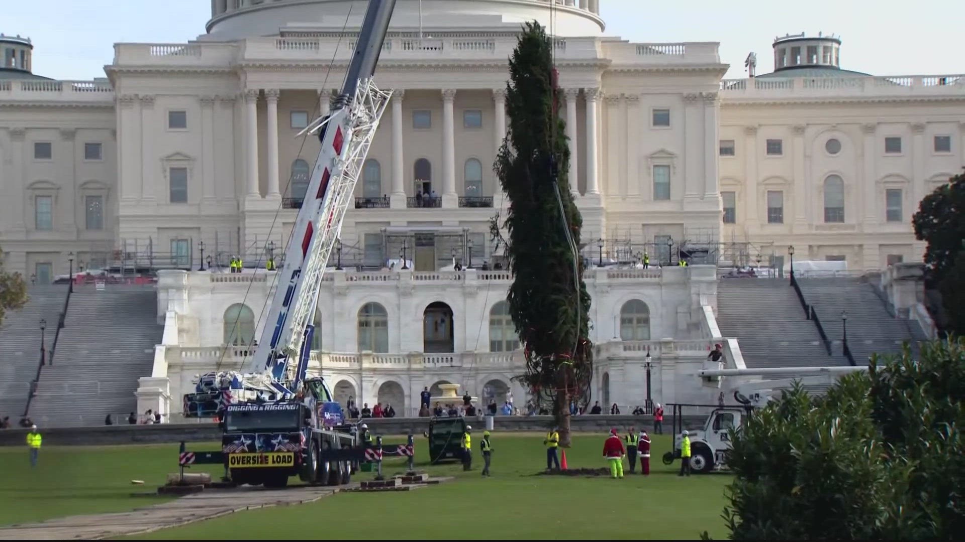 This year's tree is a 63-foot spruce from West Virginia. The tree will be lit in a ceremony on Tuesday, Nov. 28.