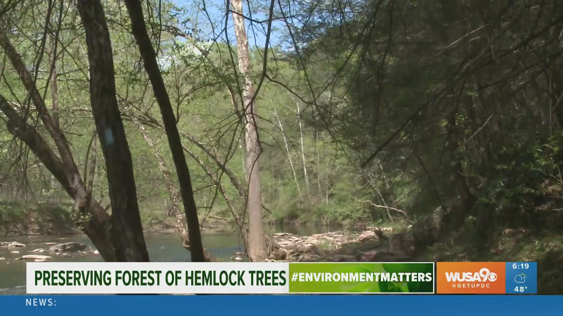 The park includes an old growth forest with trees that are 100 years old.