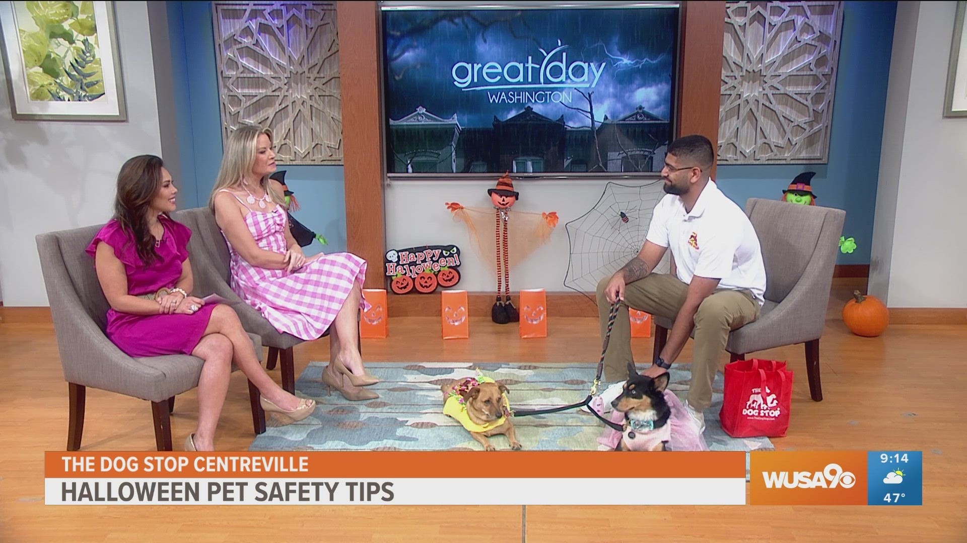 Sahil Mehta of The Dog Stop Centerville shares the latest canine costume trends and offers valuable tips for pet owners to ensure a safe holiday.