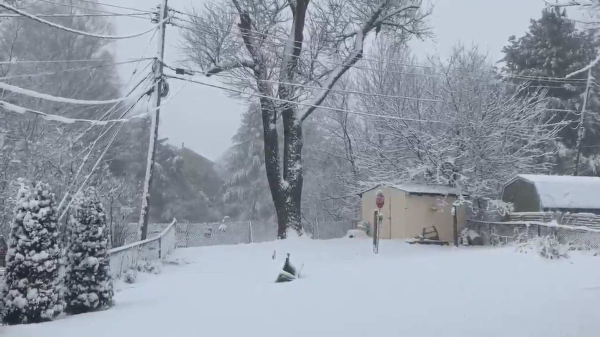 Listen and hear the thundersnow in Owings Mill, Maryland during a snow squall on Wednesday, January 8th.