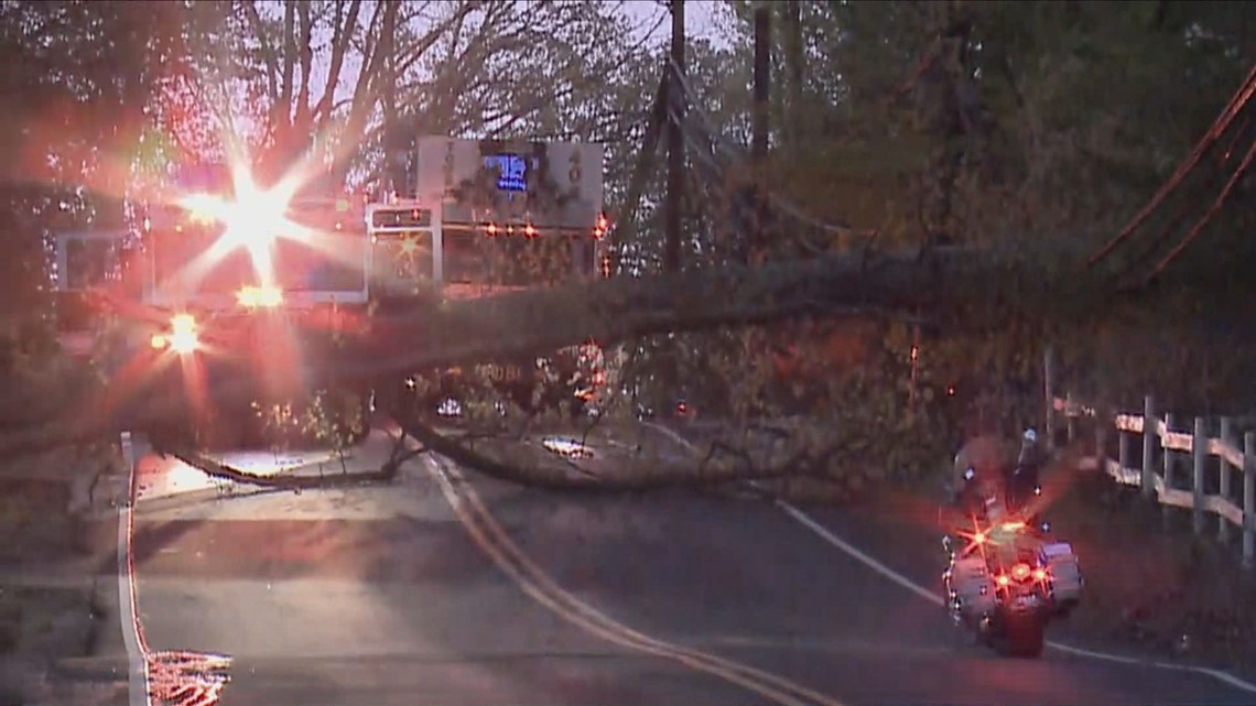 Dozens left without power after large tree knocks power lines | wusa9.com