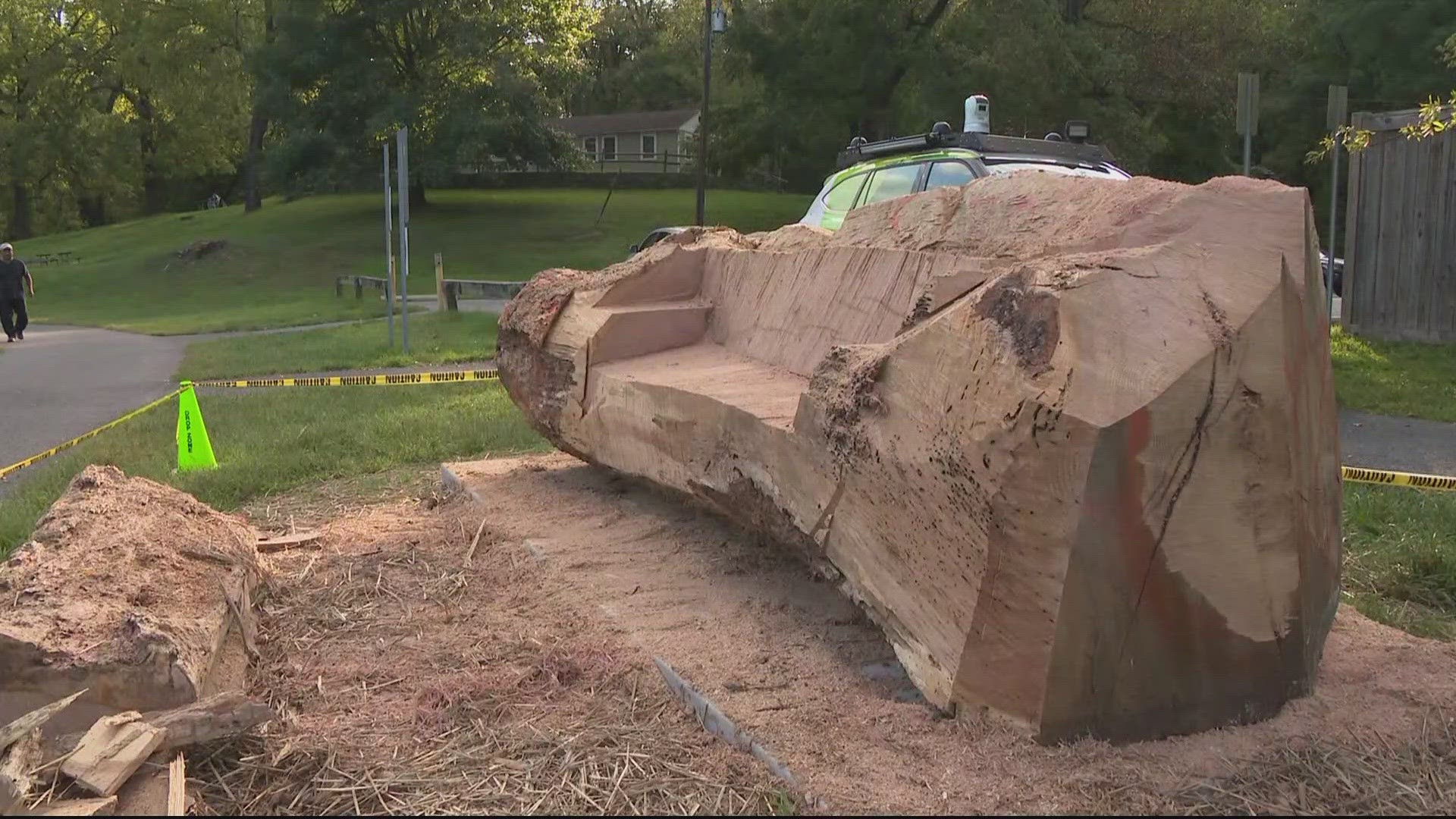 It was the oldest tree in Montgomery County. Now it's being recycled in a creative way.