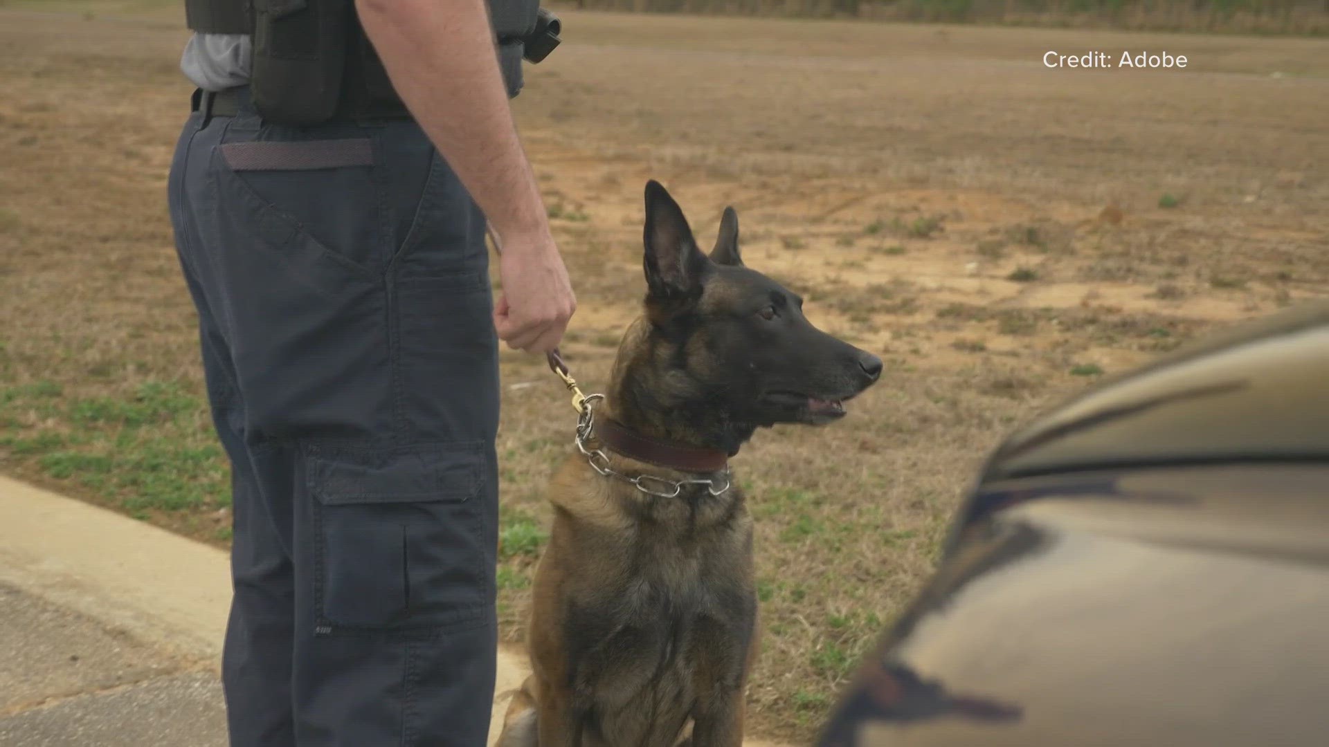 The county's high schools will be adding an extra layer of security with the drug-sniffing dogs.