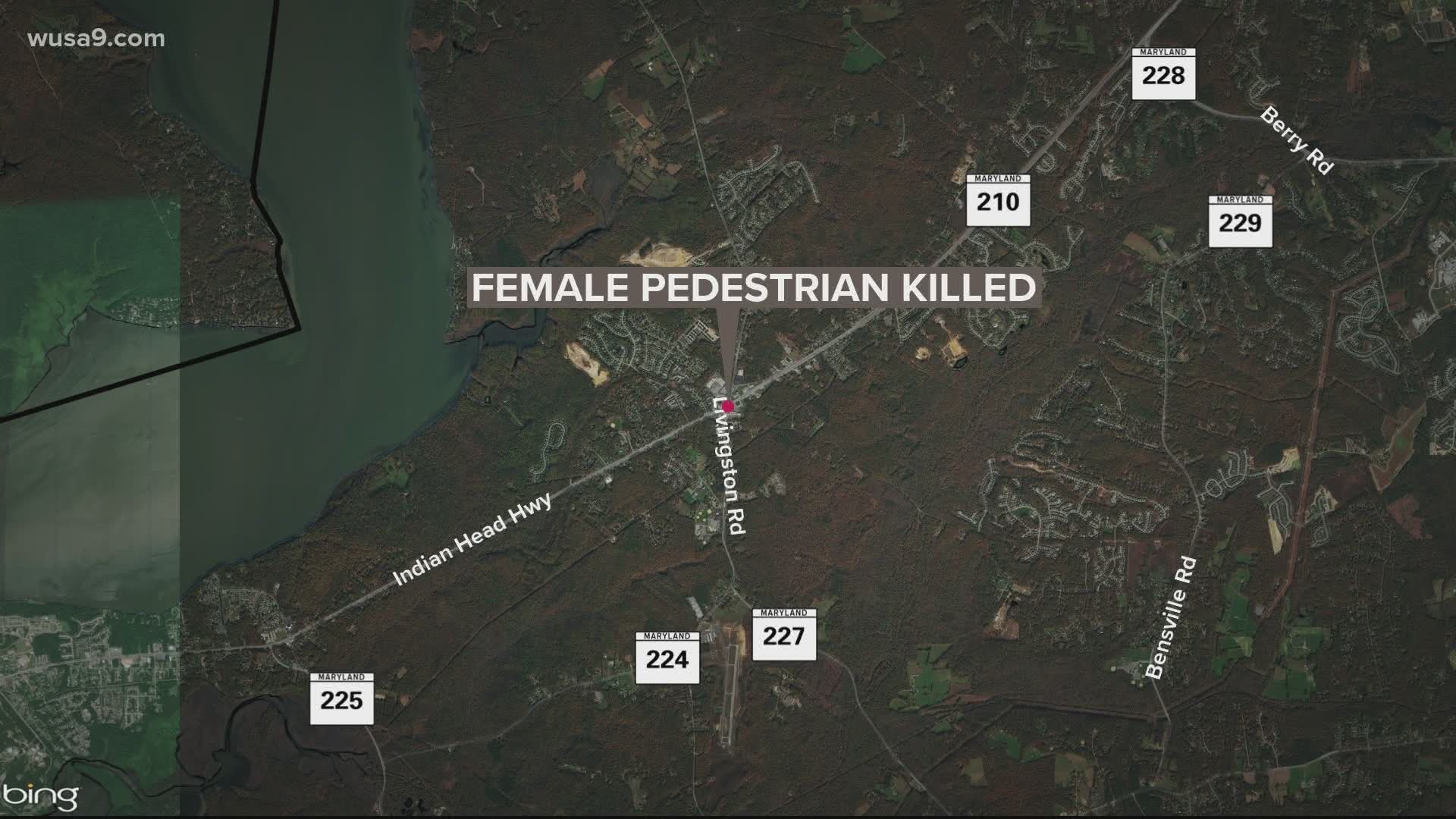 A woman was hit and killed on Indian Head Highway late Monday night.