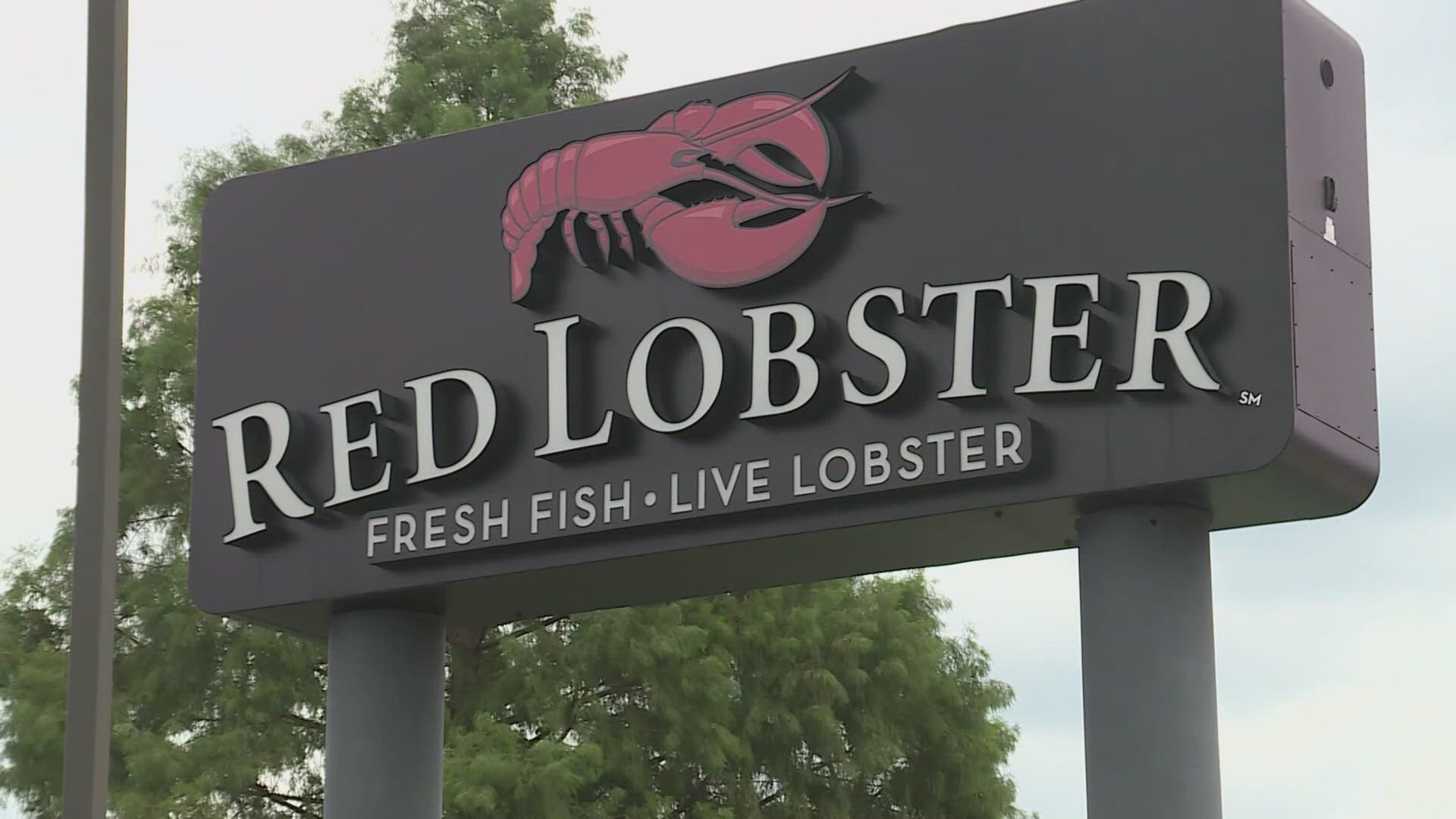 The Red Lobster closures come as bankruptcy rumors have circled the seafood restaurant chain in recent weeks.
