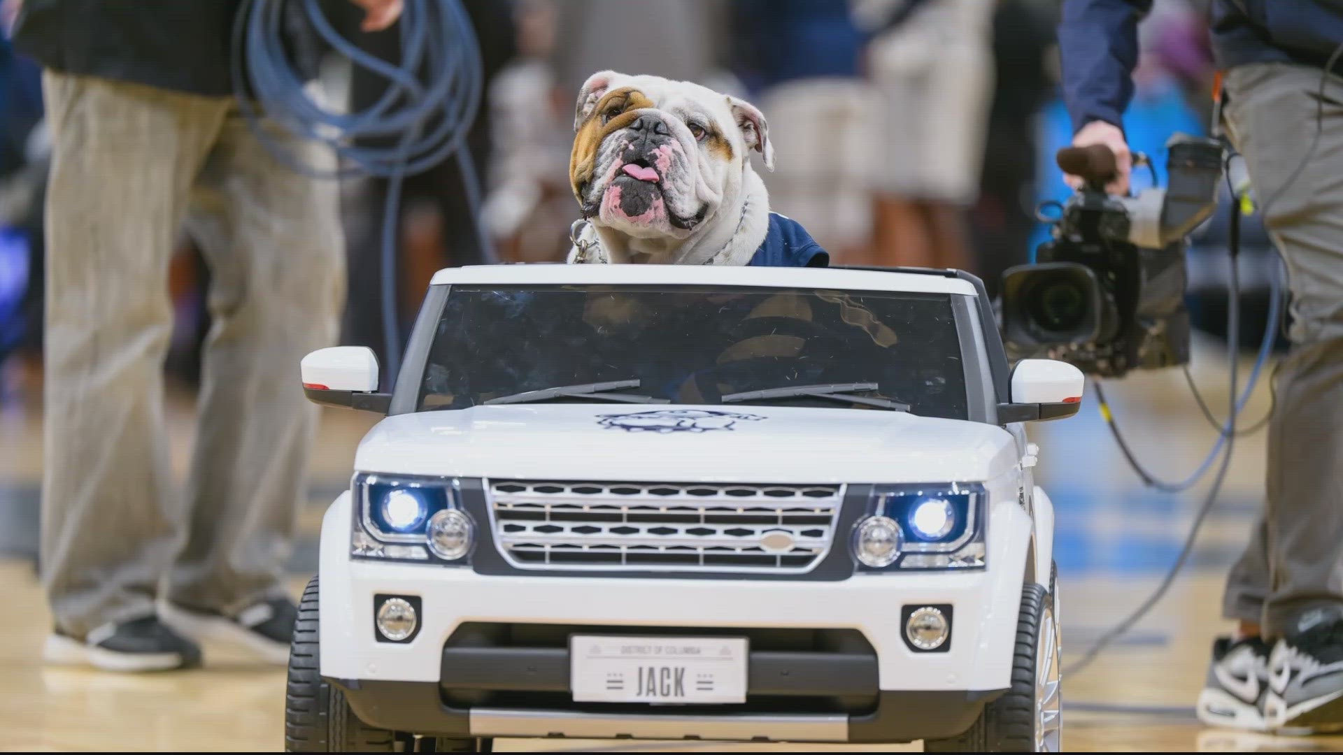 Adopted as the new face of Georgetown in 2019, Jack the Bulldog has touched of the hearts of many during his time as mascot.