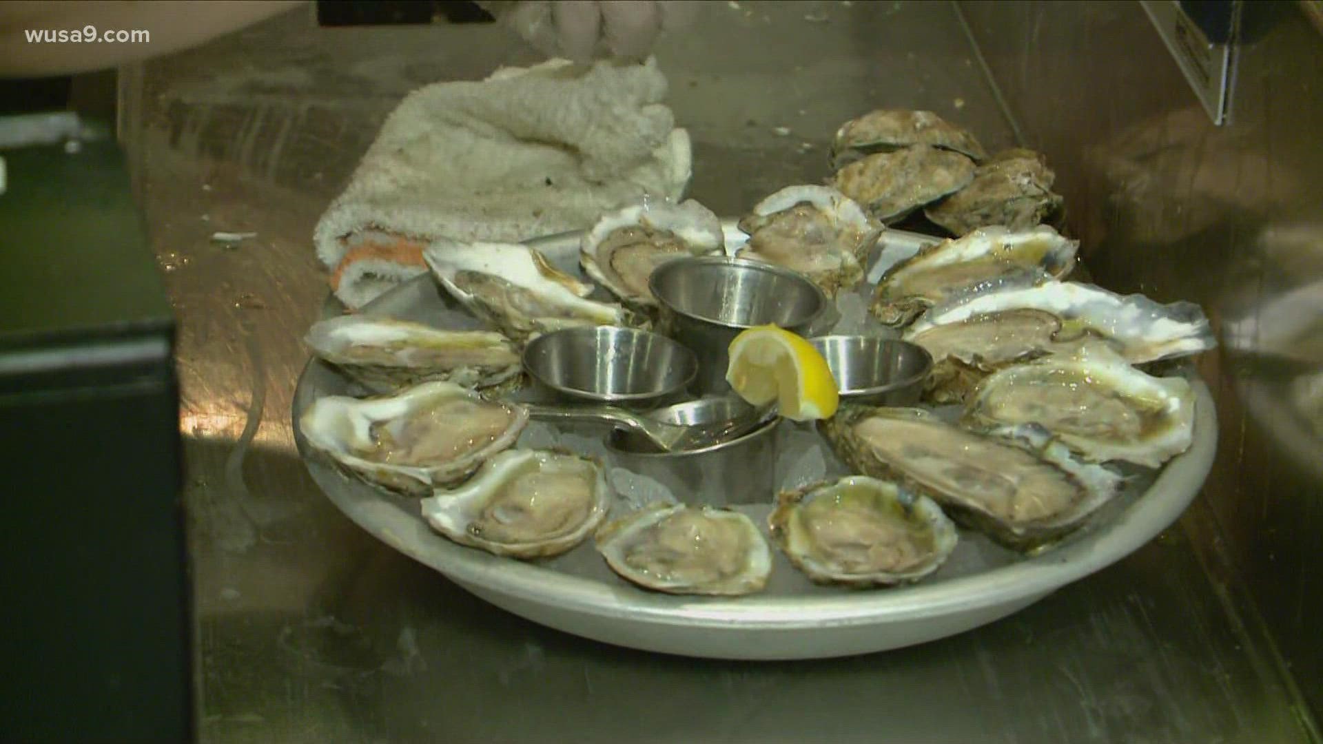 November is Virginia Oyster Month, so we took the top oyster myths to the experts.