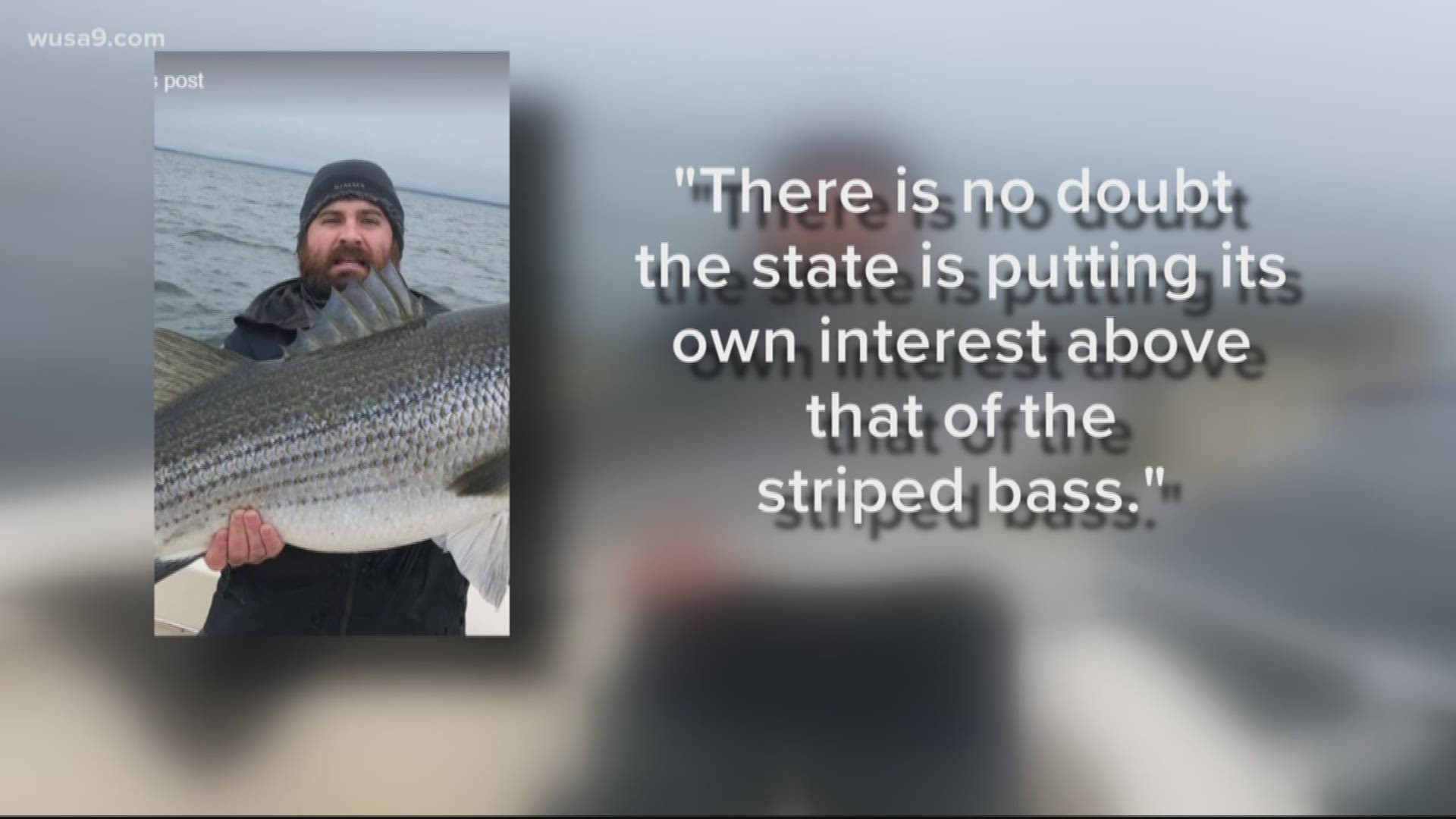 Nick "Redbeard" Lombardi criticizes new Maryland conservation rules allowing trophies to be kept as an "embarrassment" as Rockfish face alarming decline.