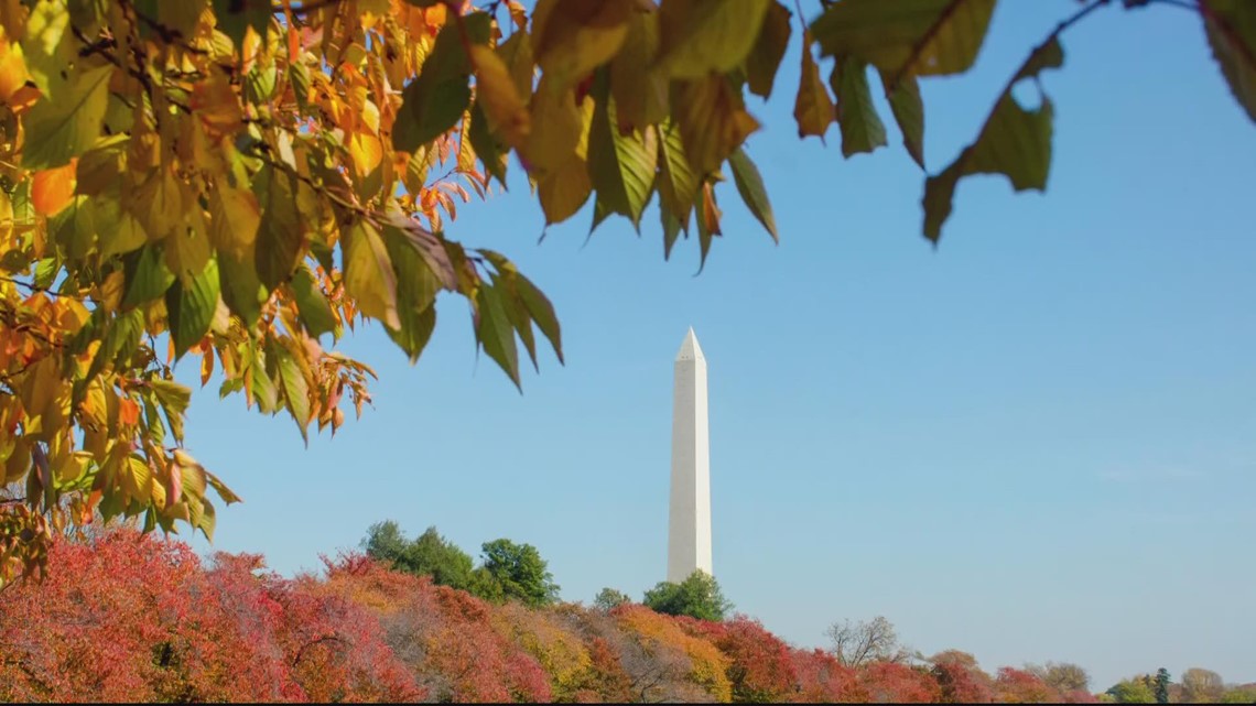 How climate change impacts the fall foliage | ECO9 | wusa9.com